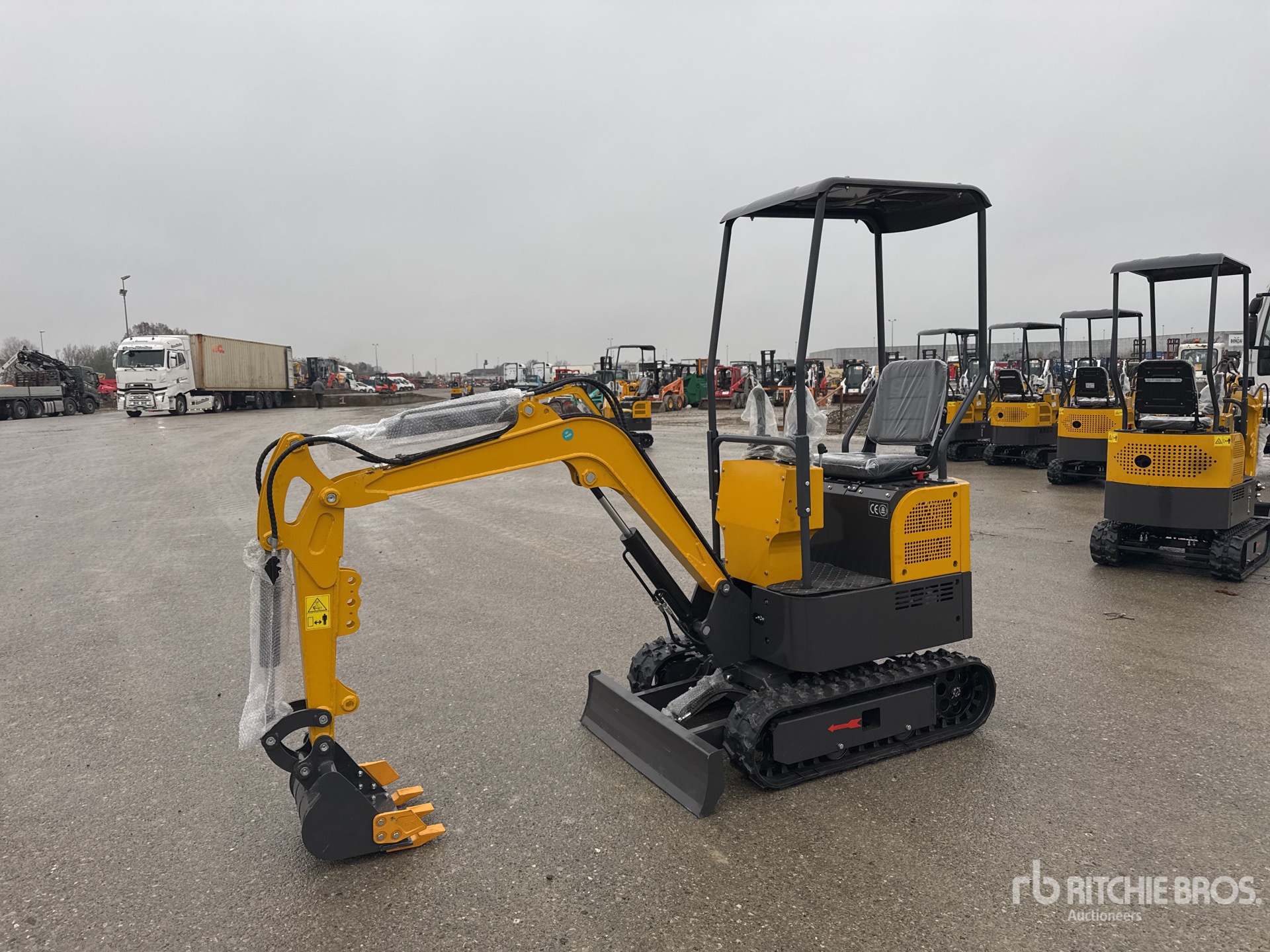 General Appearance with