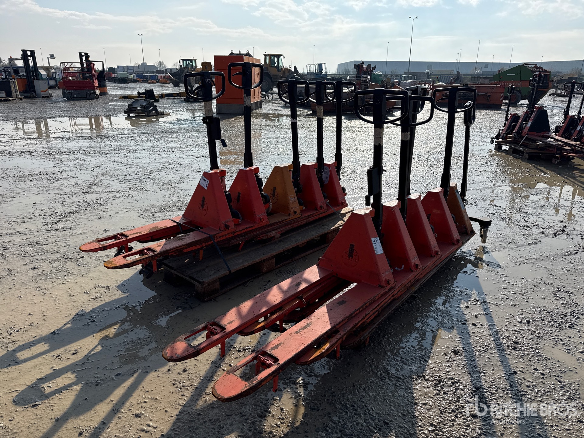 General Appearance with 