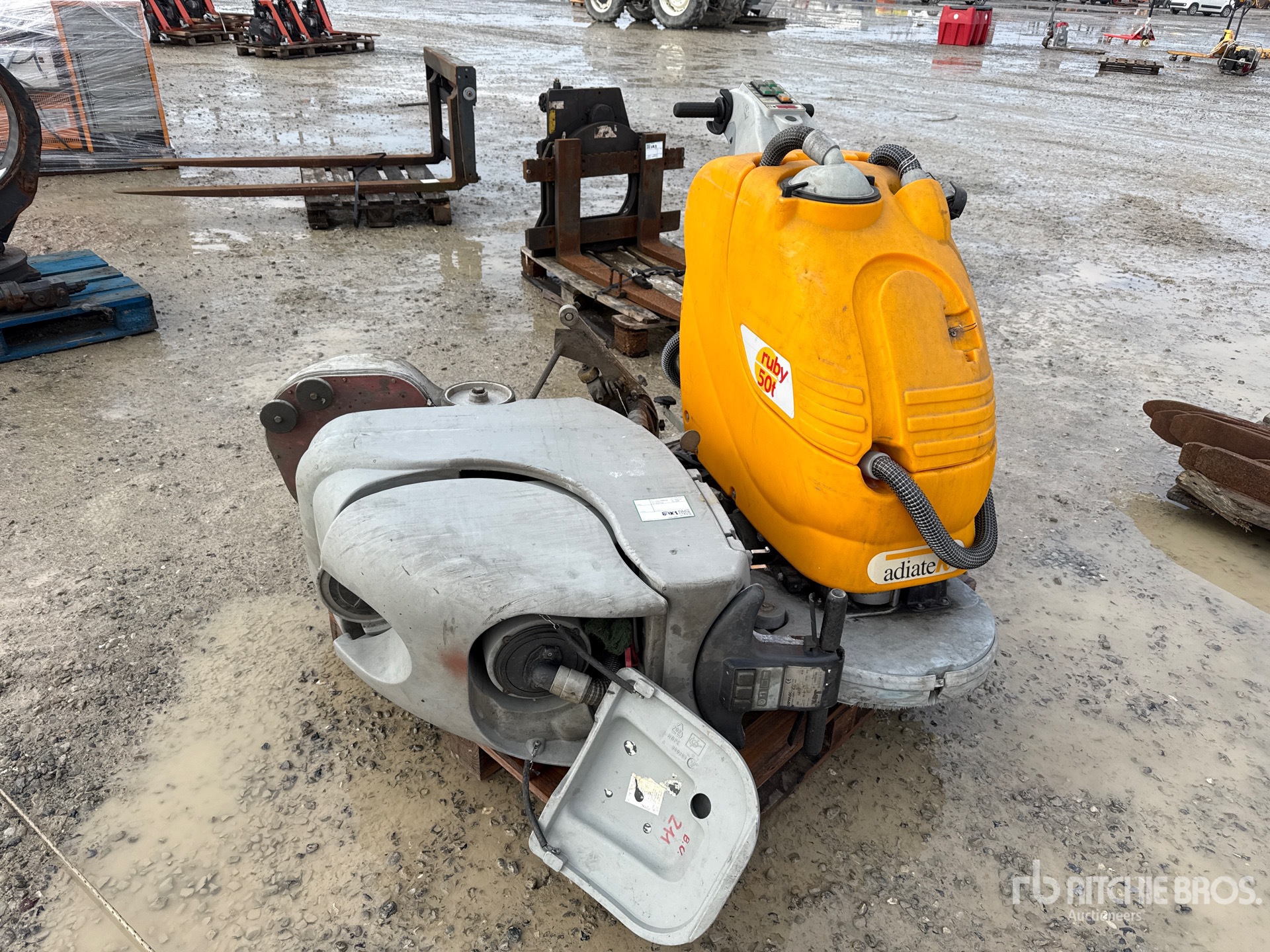 General Appearance with 