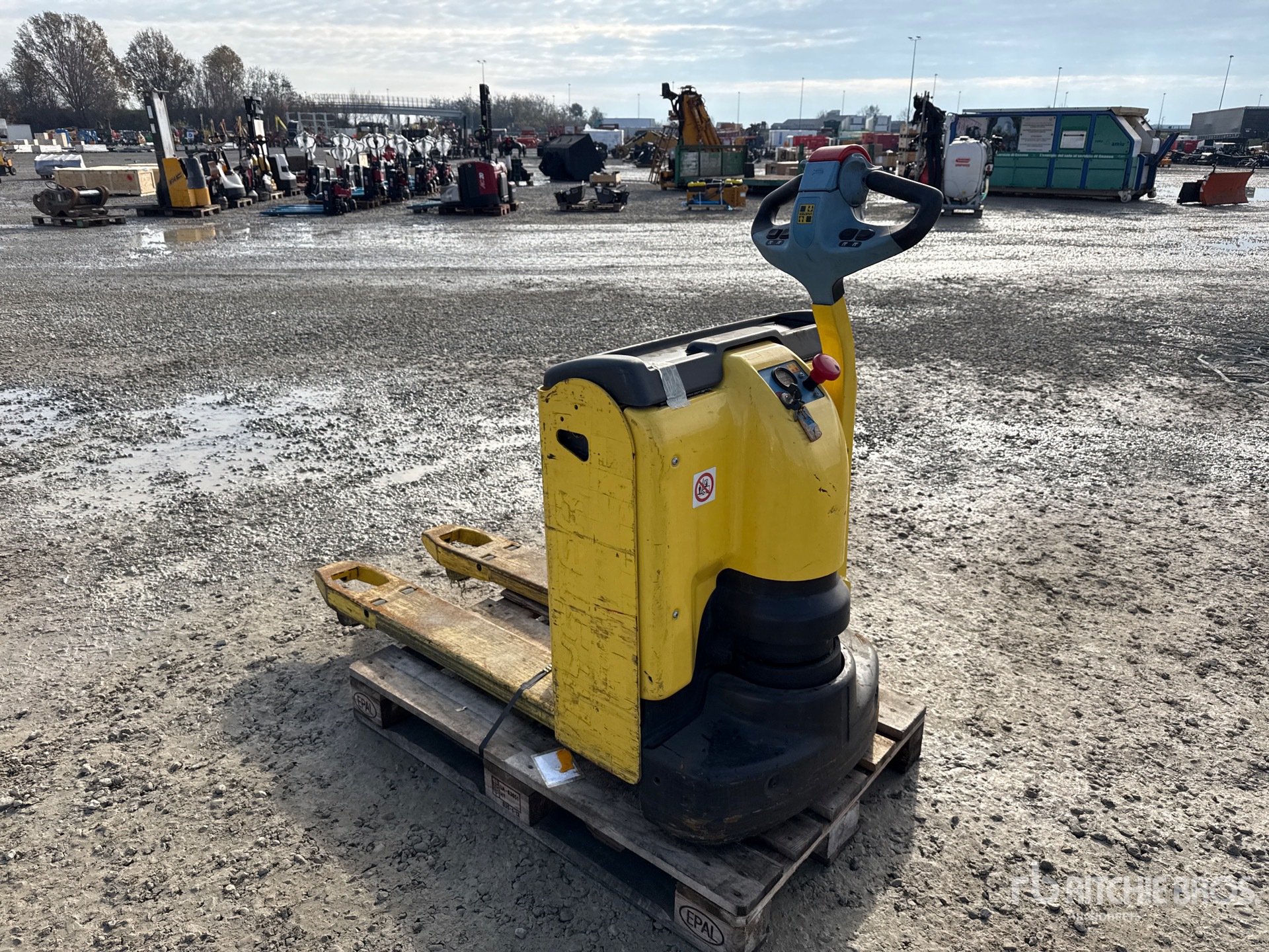 General Appearance with 