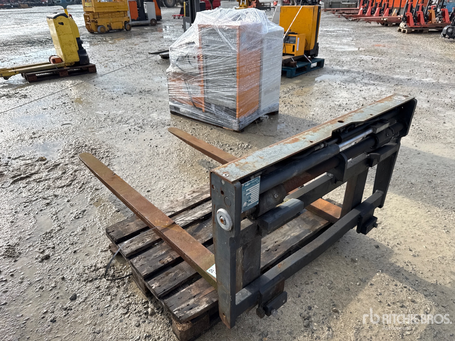 General Appearance with 