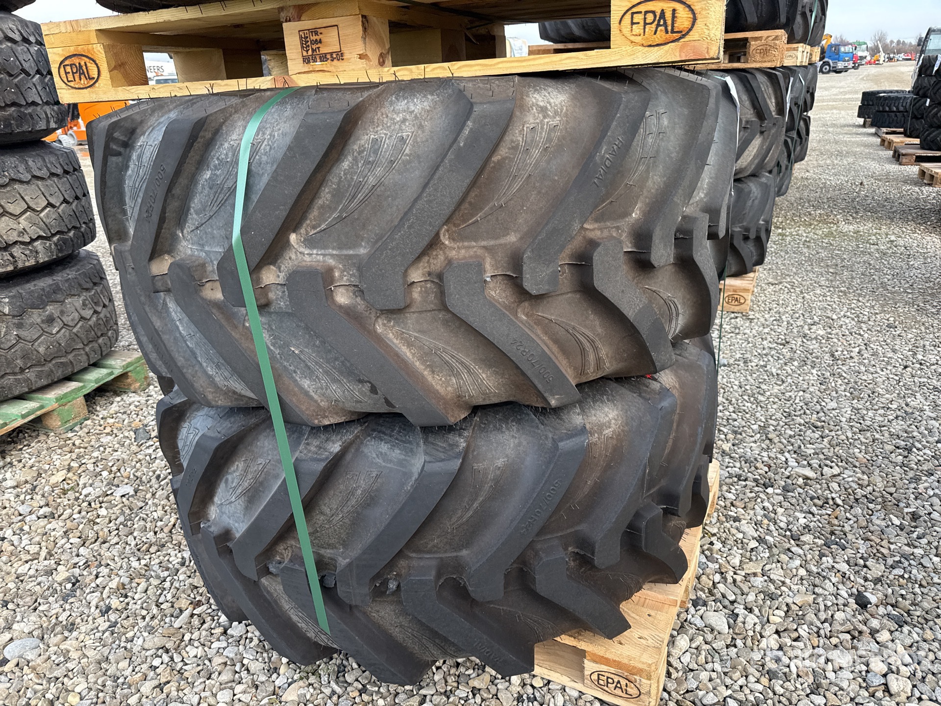 General Appearance with 