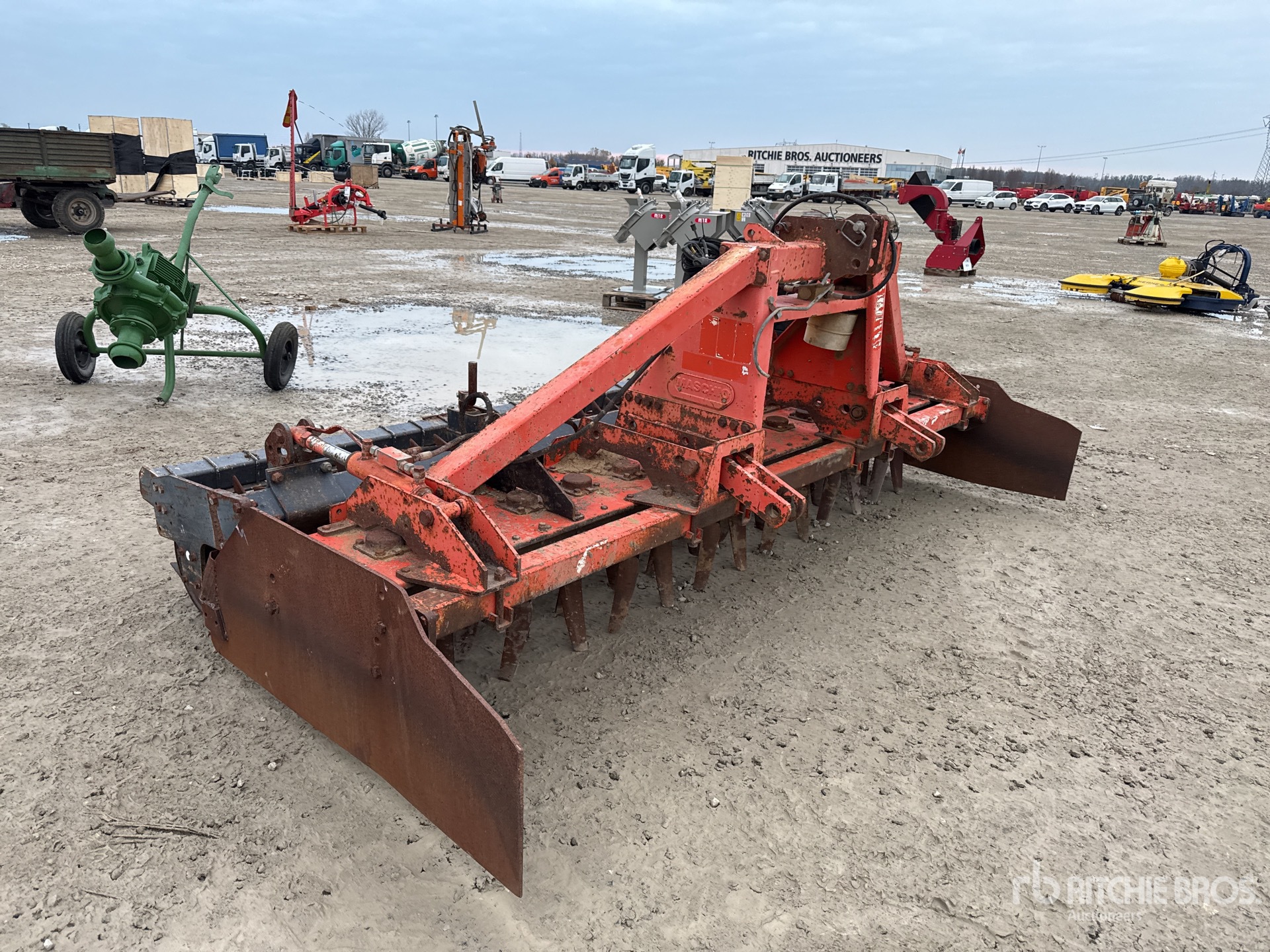 General Appearance with 