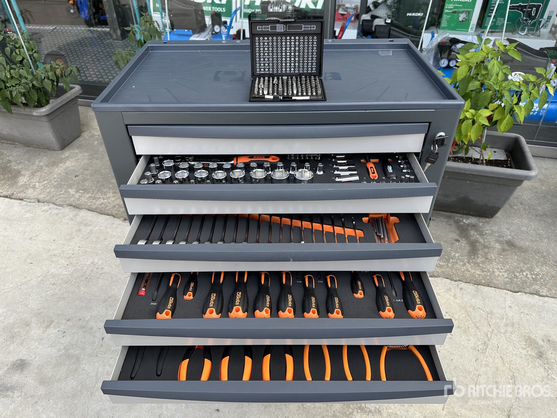 General Appearance with