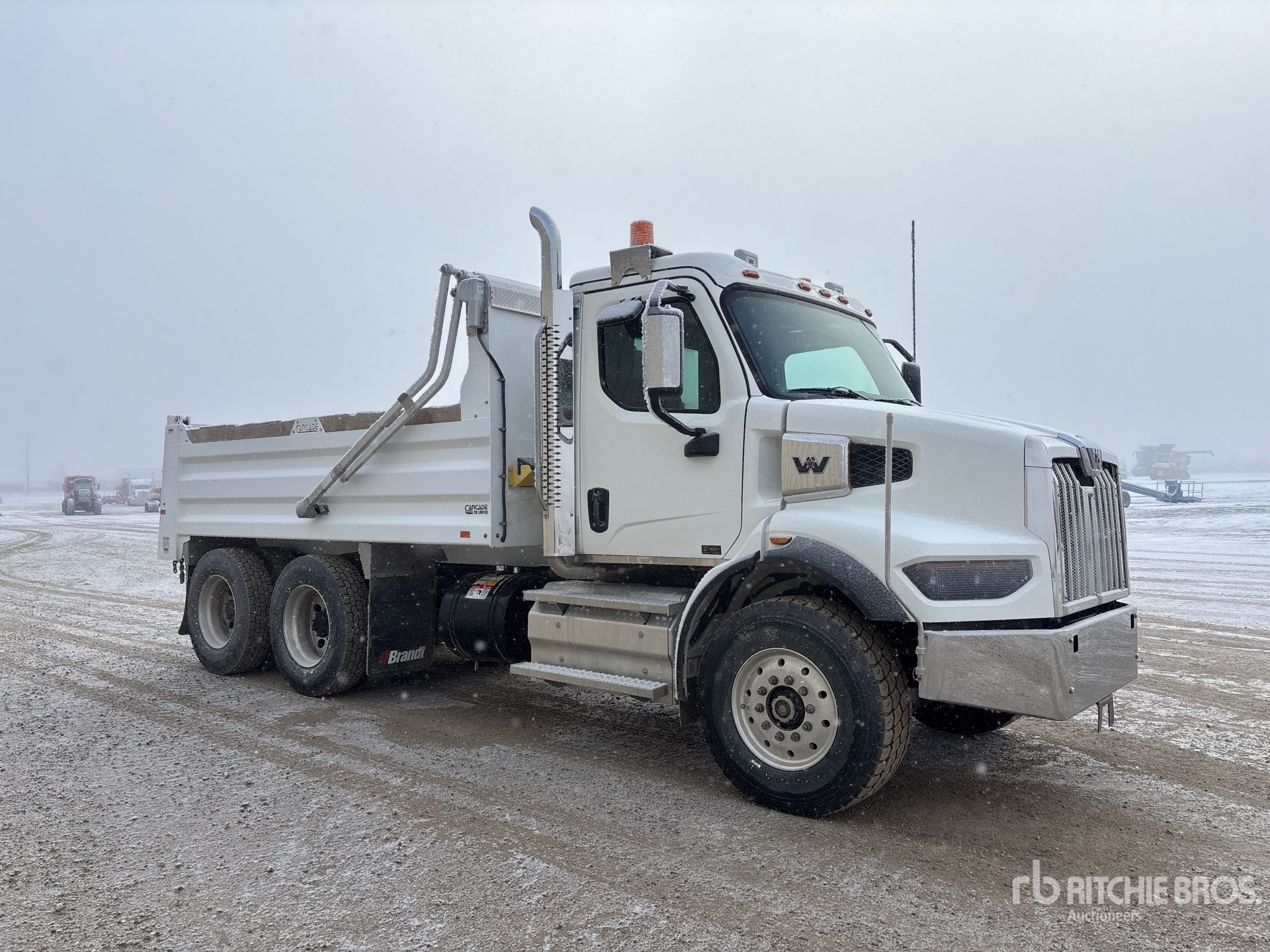 General Appearance with Zdjęcie, prawy górny róg