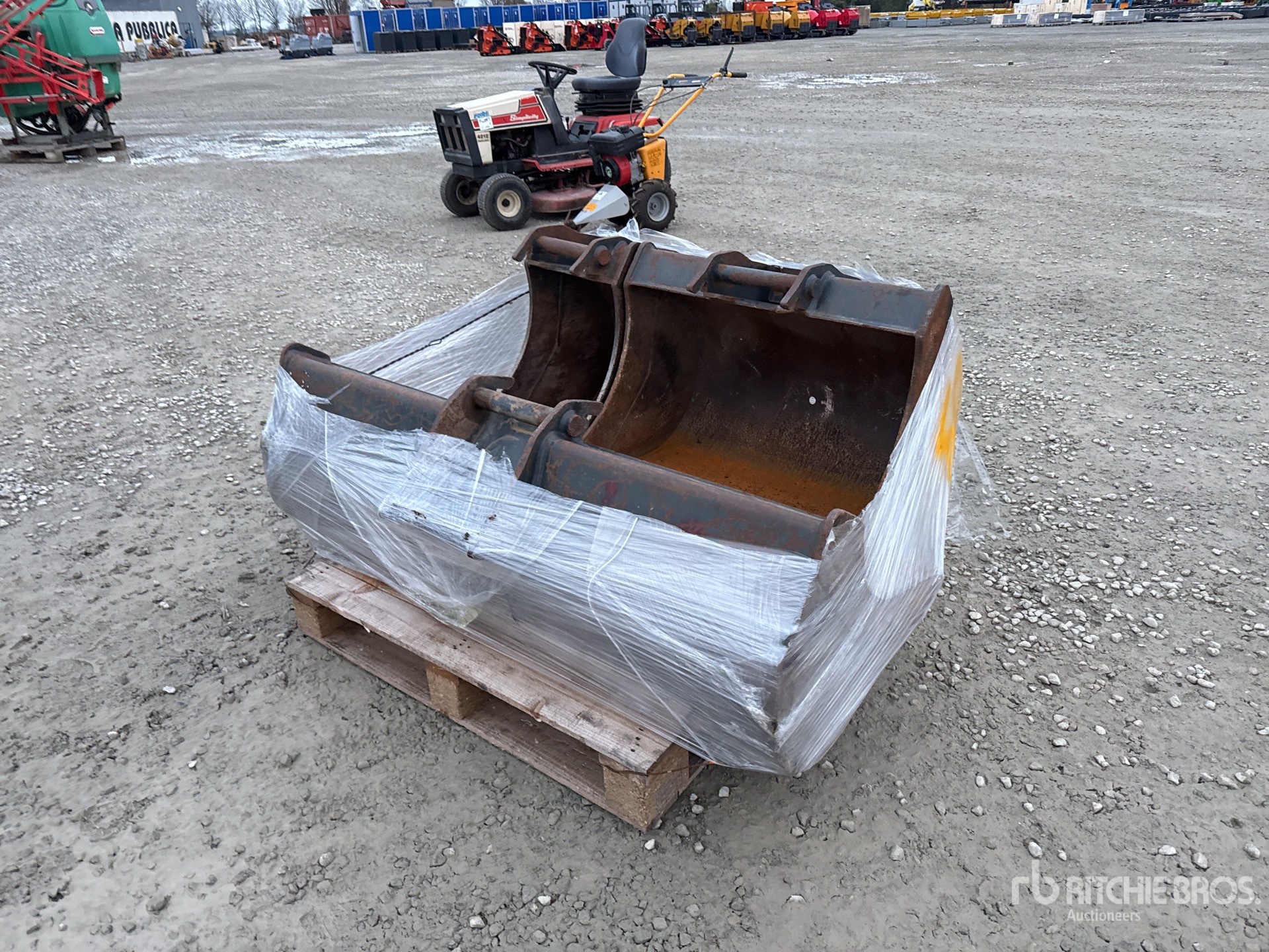 General Appearance with 