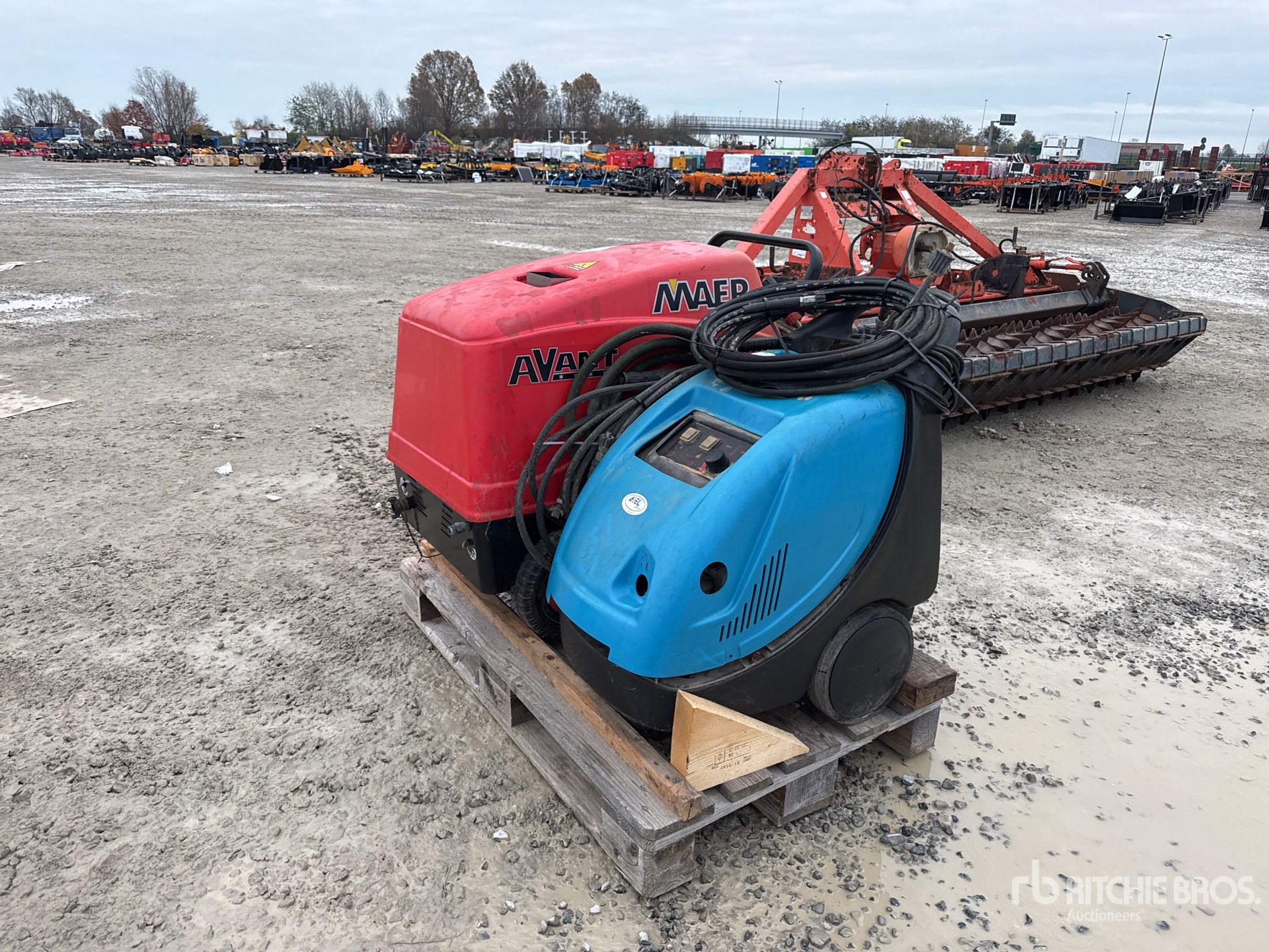 General Appearance with 