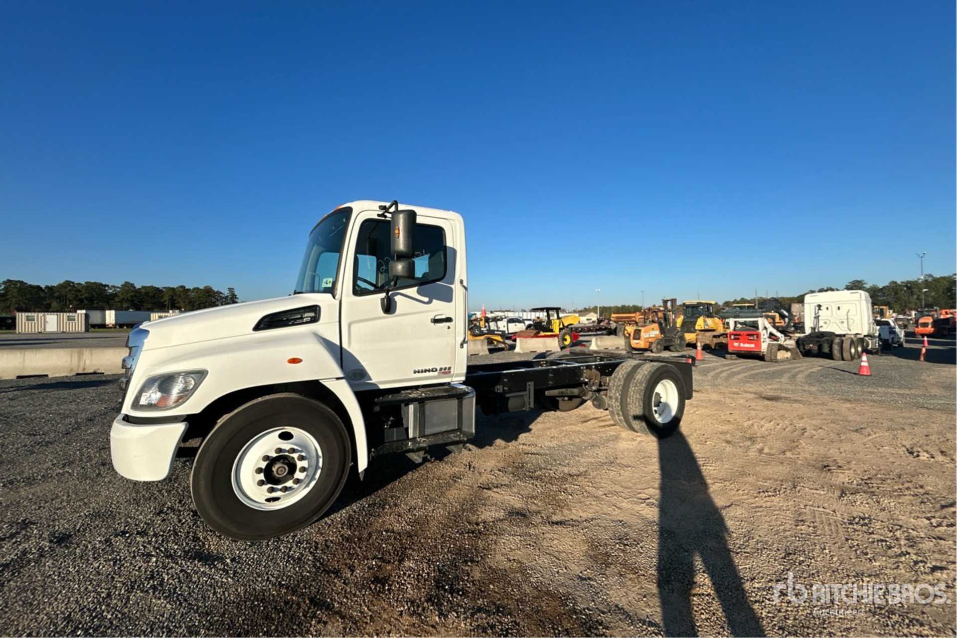 General Appearance with Spin