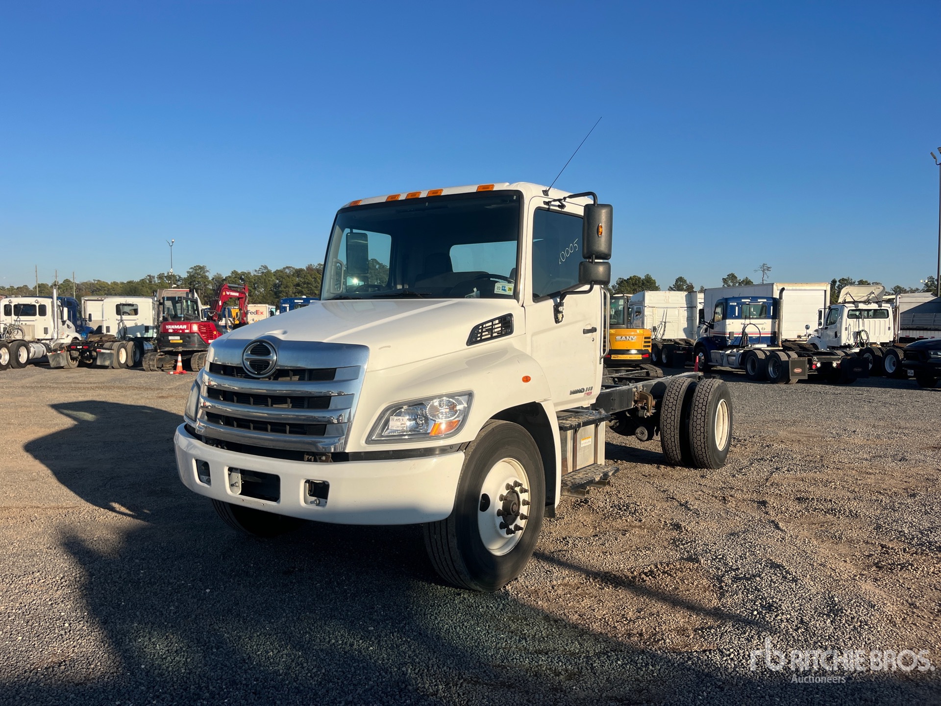 General Appearance with Spin