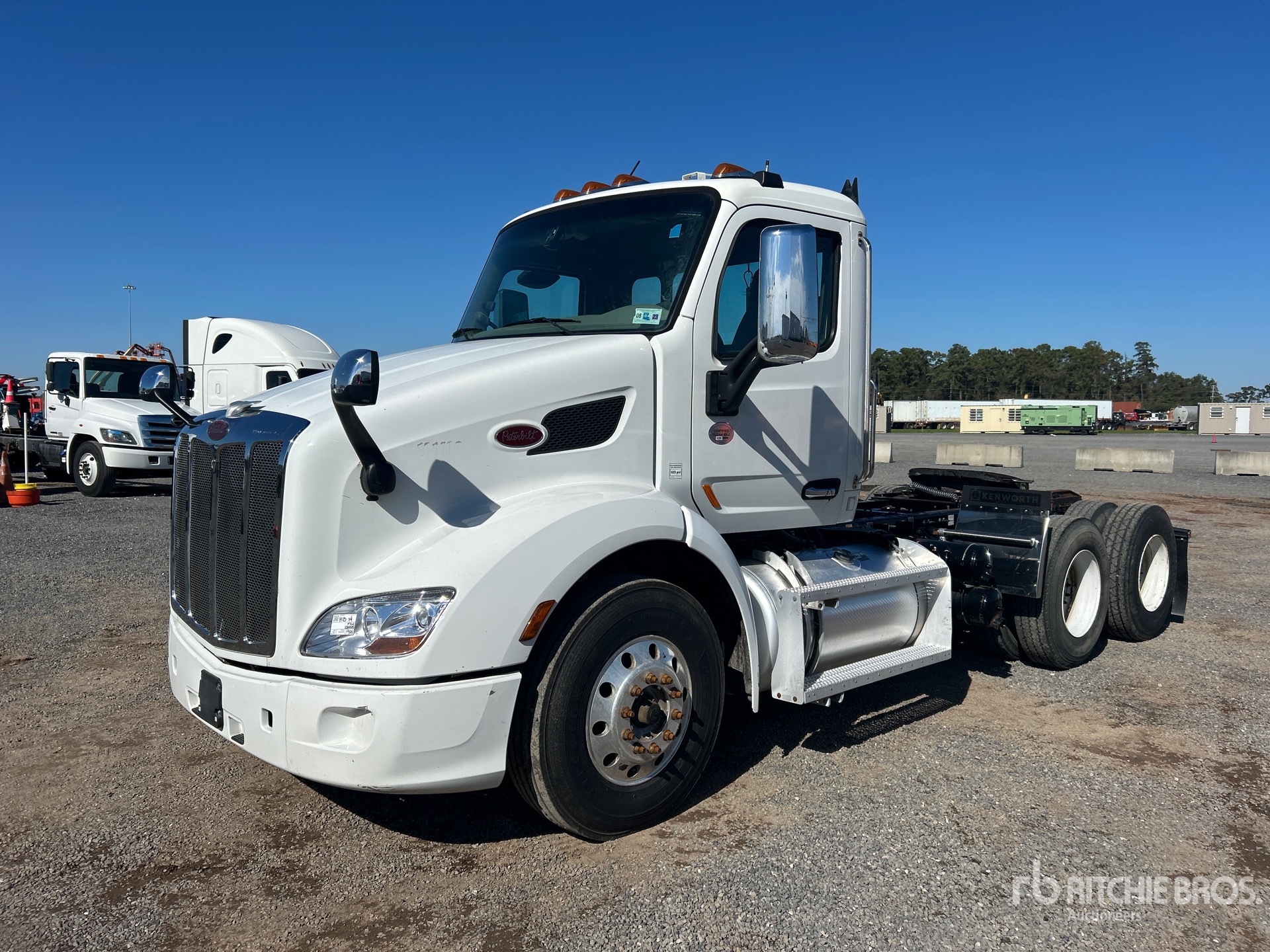 General Appearance with Spin