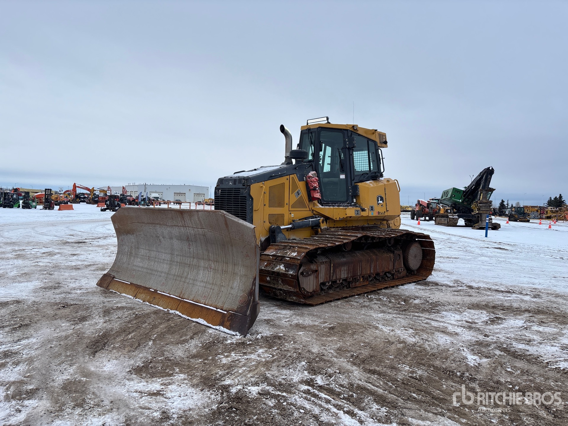 General Appearance with Spin