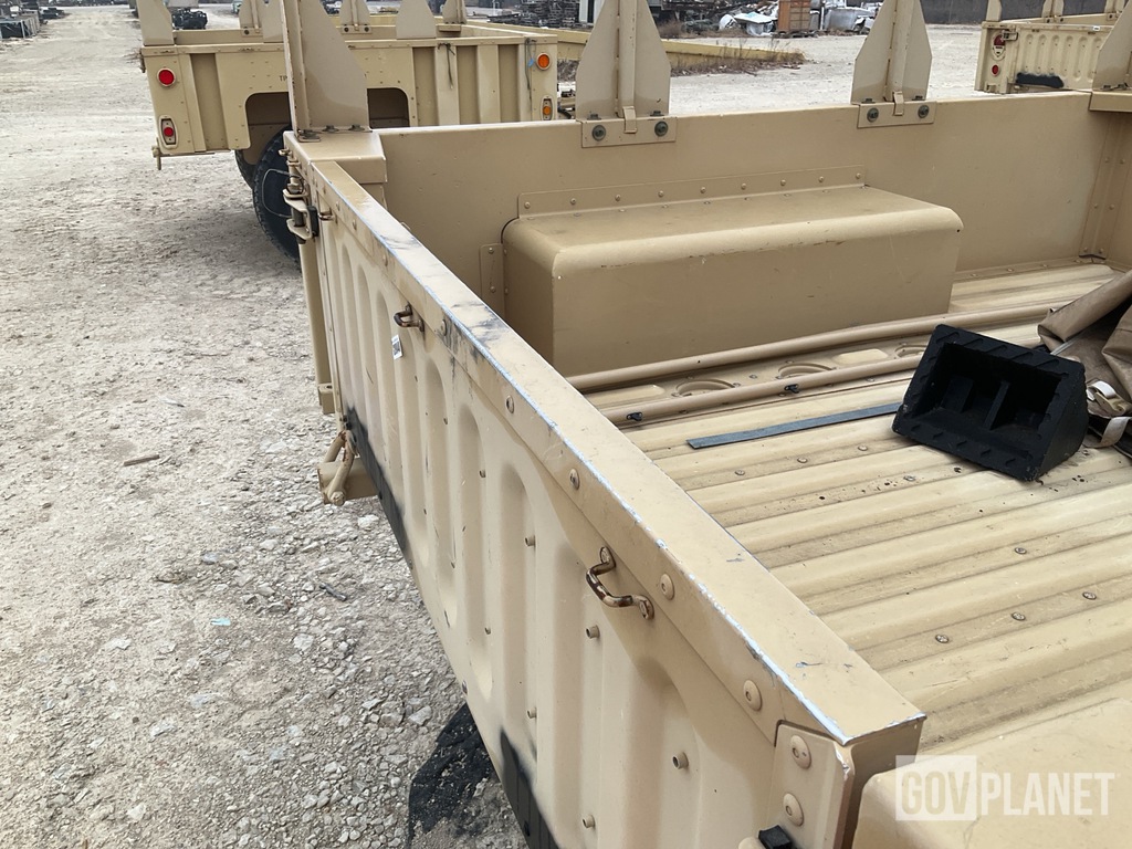 General Appearance with Paint