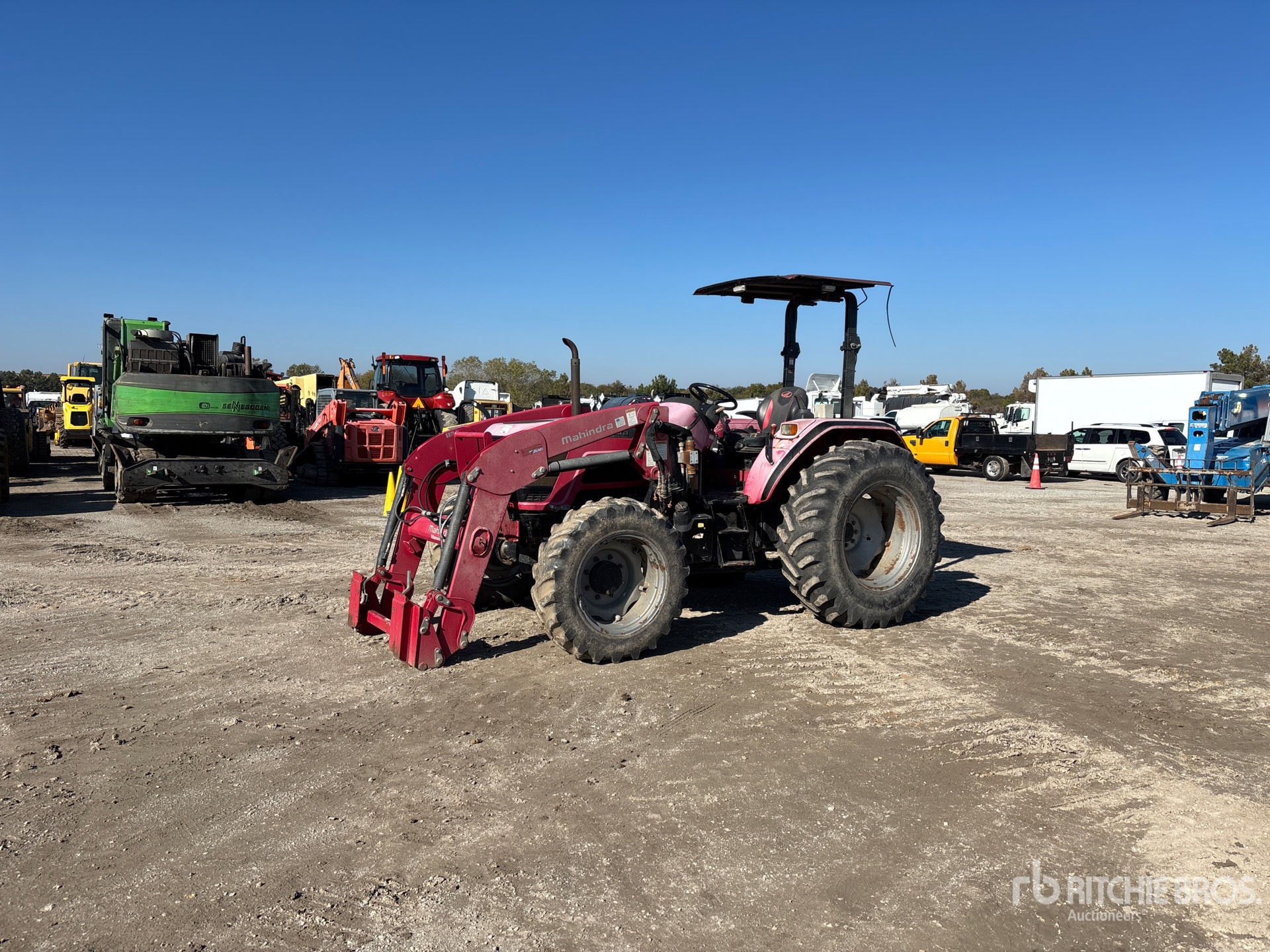 General Appearance with Spin