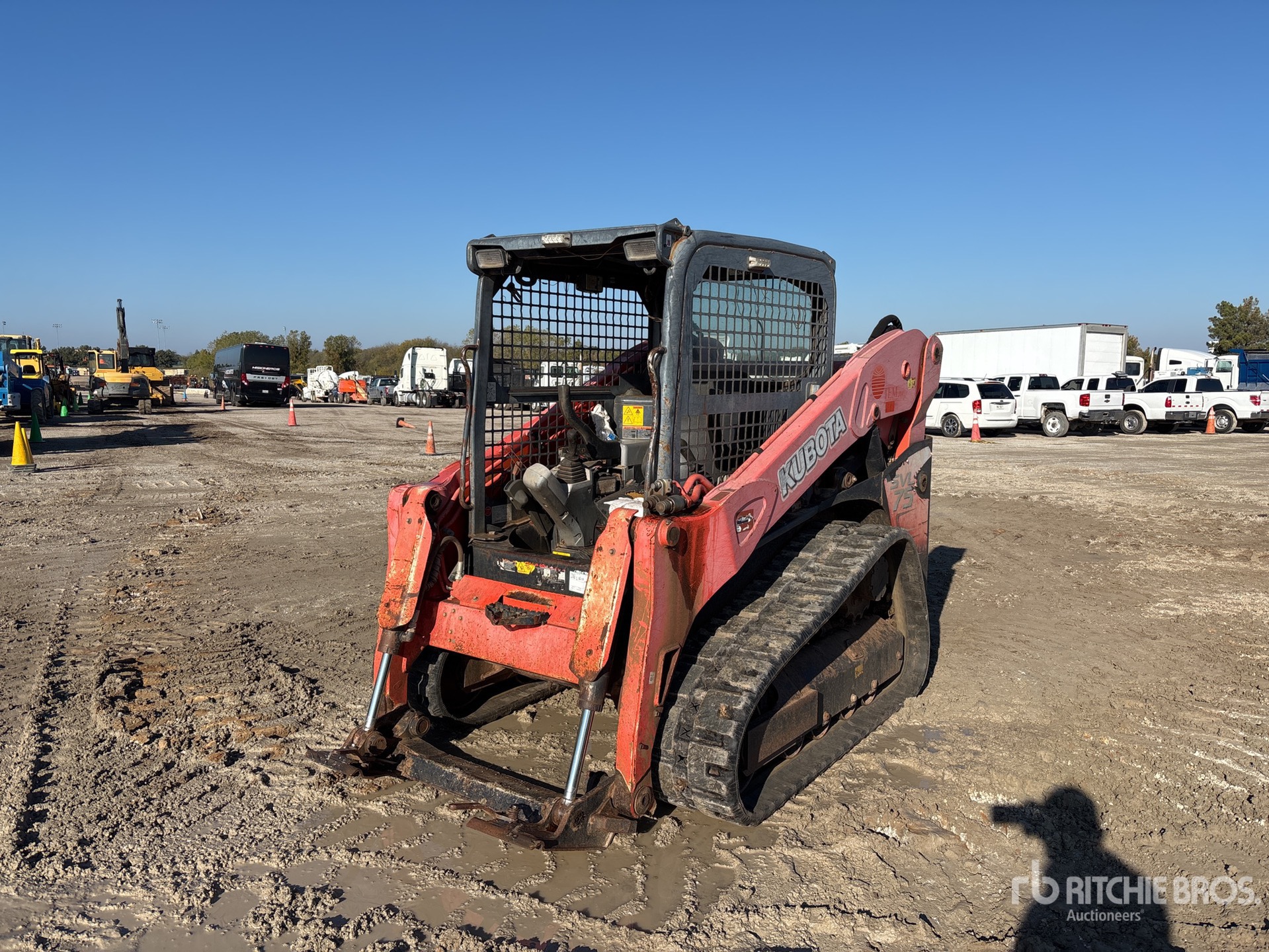 General Appearance with Spin