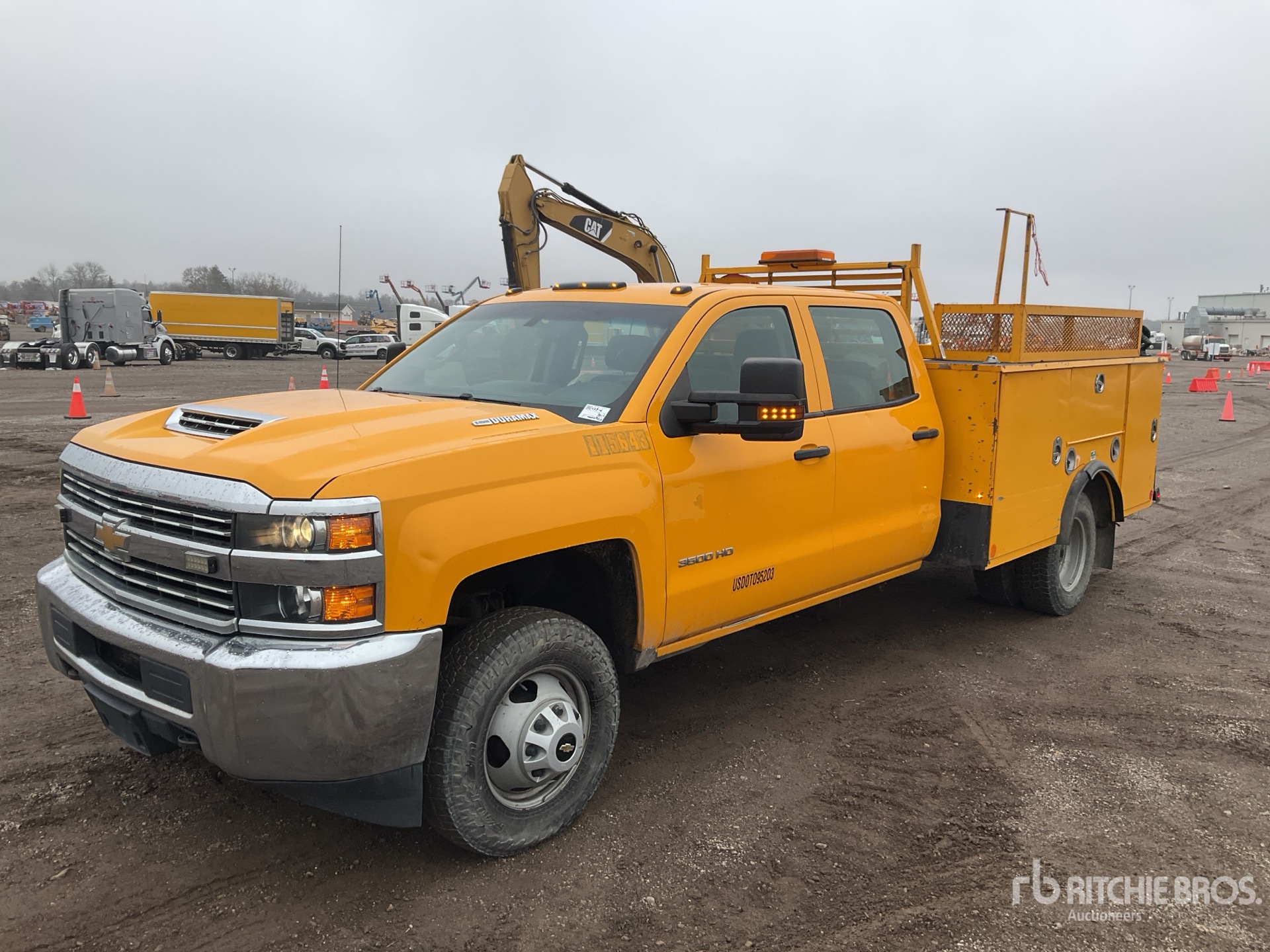 General Appearance with Spin