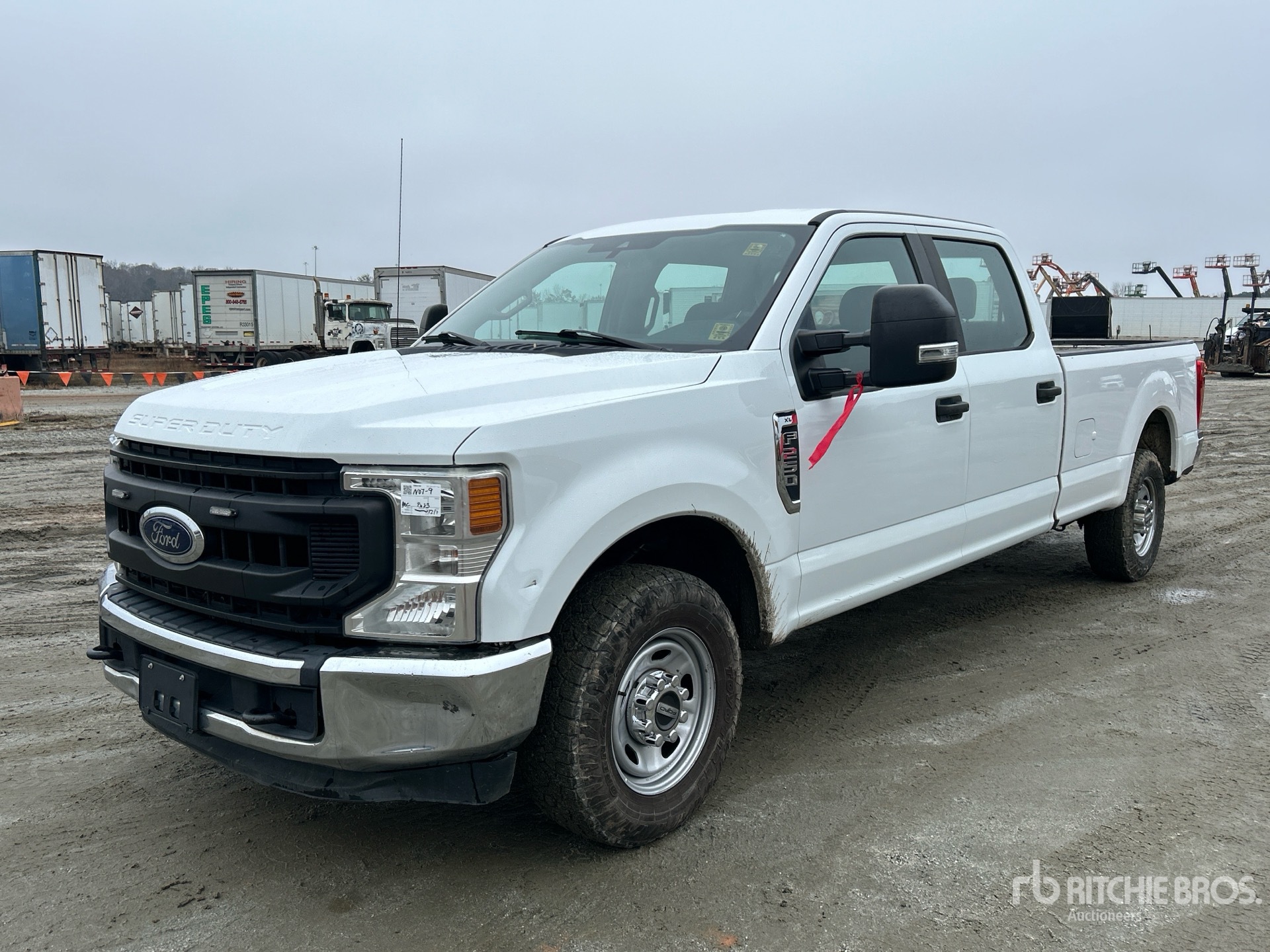 General Appearance with Spin