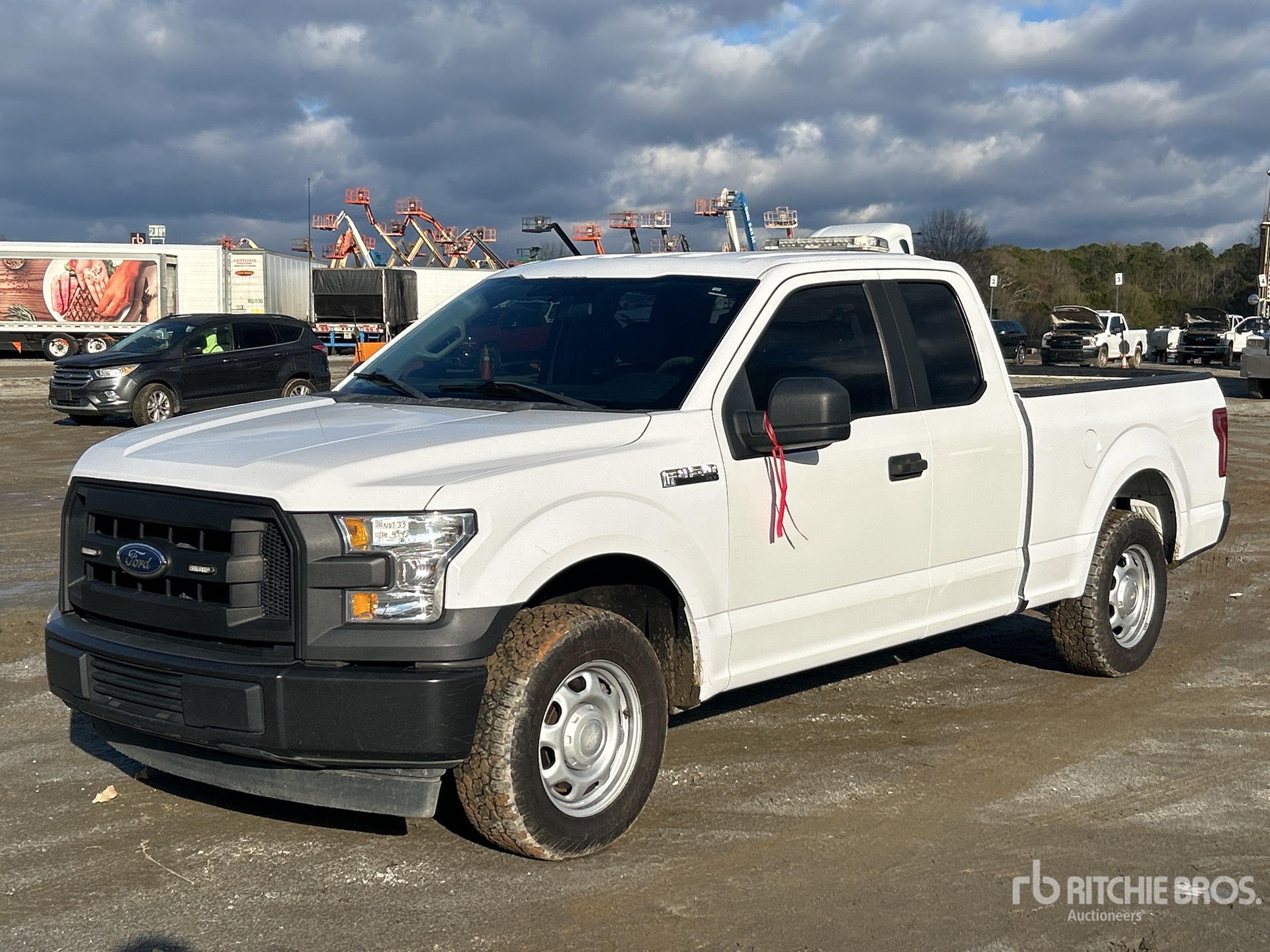 General Appearance with Spin