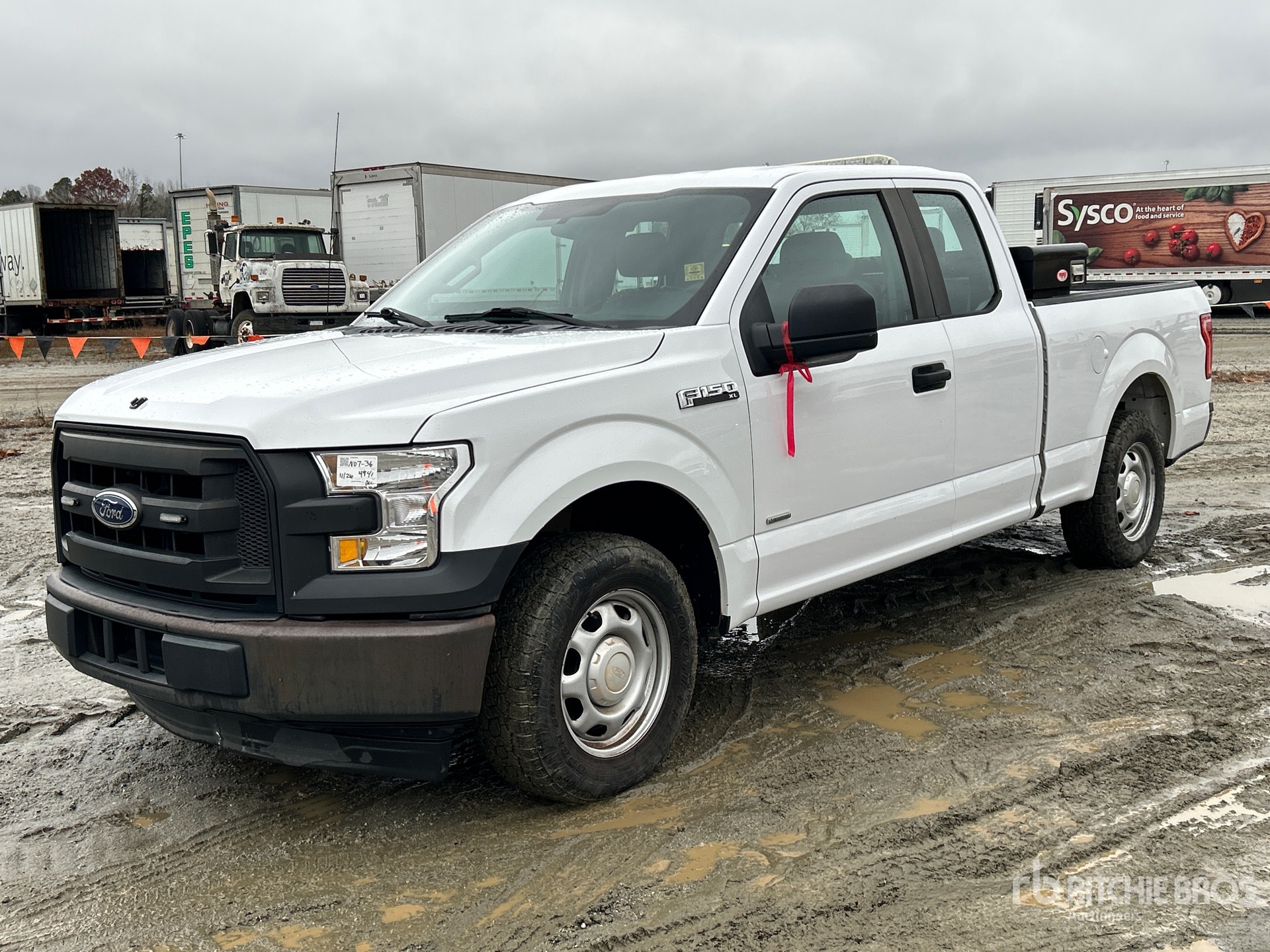 General Appearance with Spin