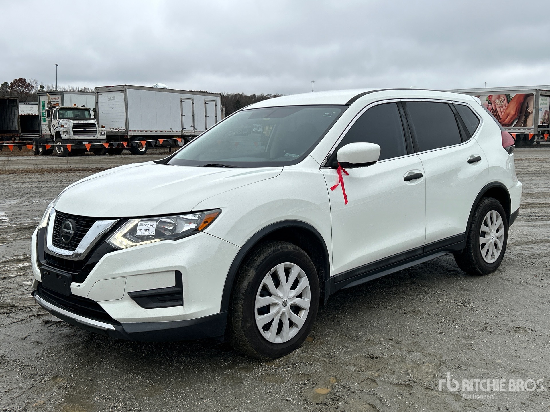 General Appearance with Spin