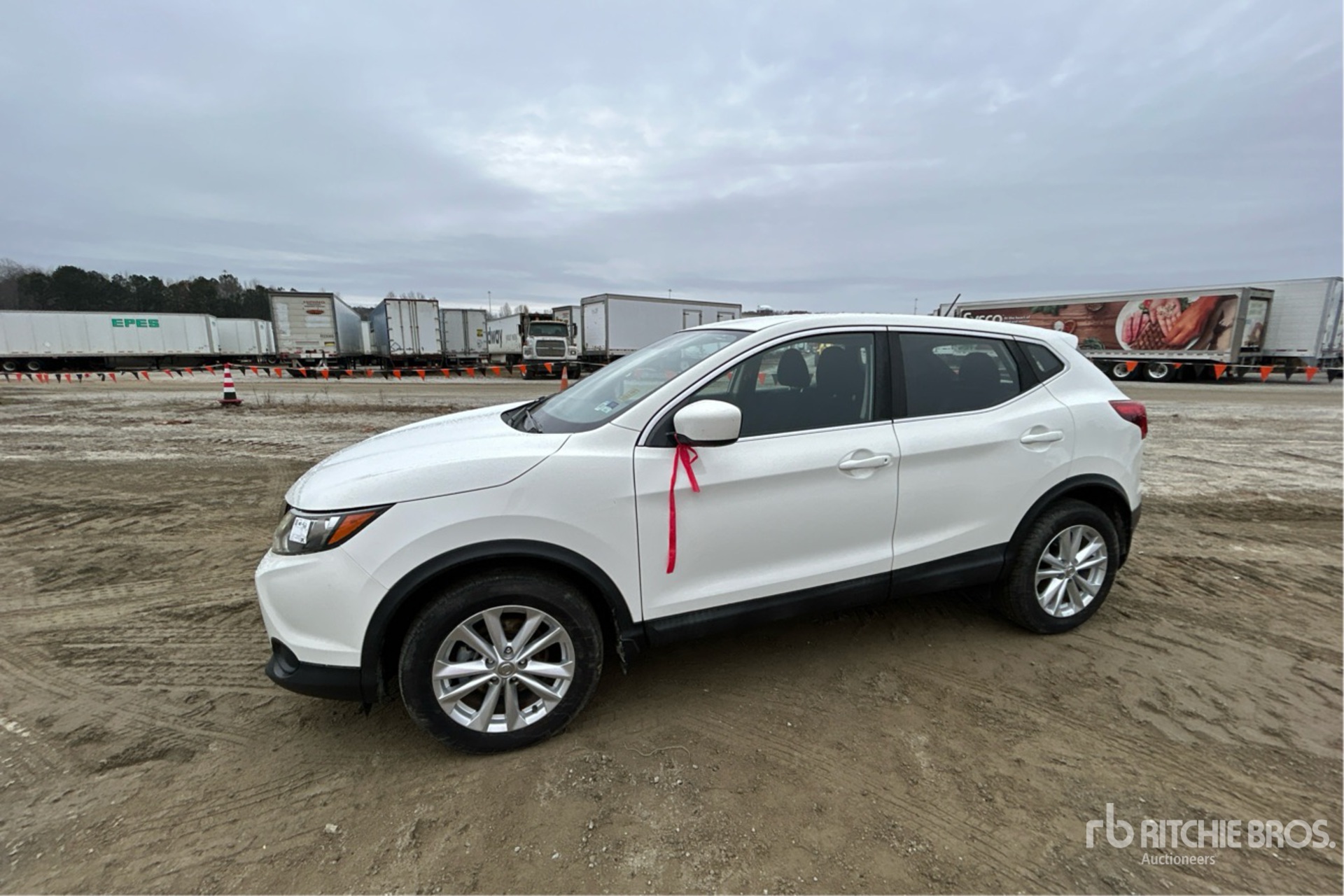 General Appearance with Spin