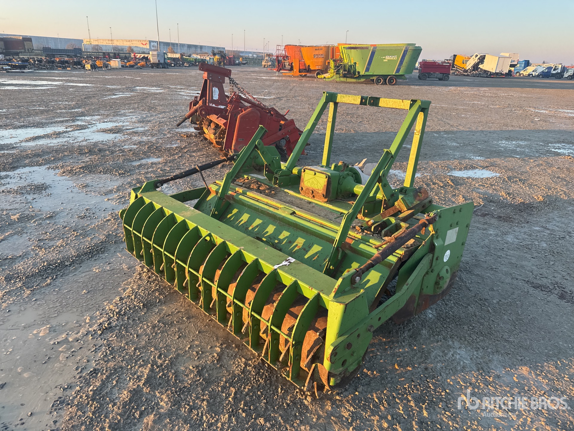 General Appearance with 