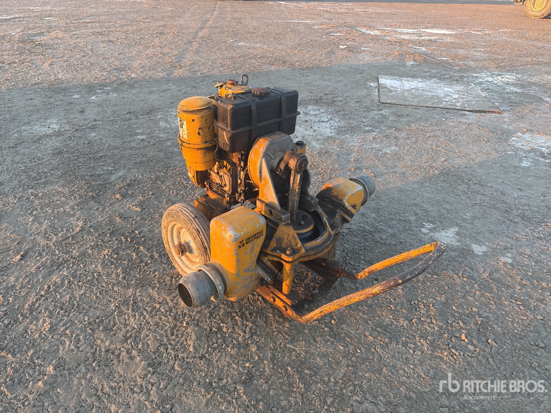 General Appearance with