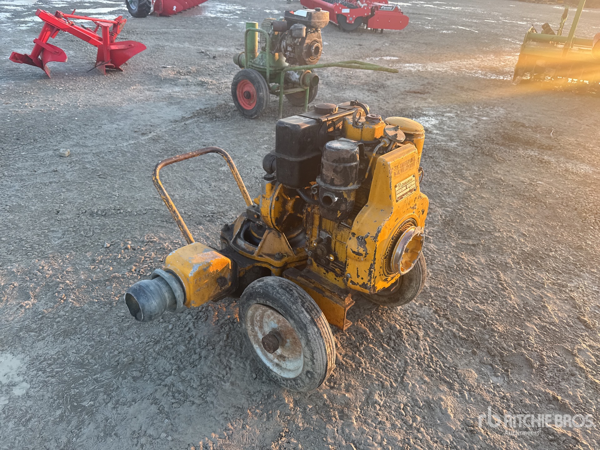 General Appearance with