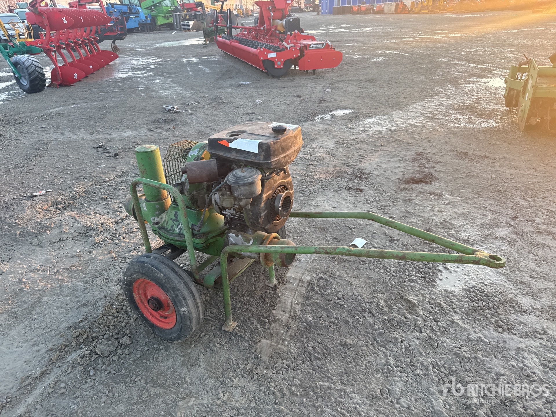 General Appearance with