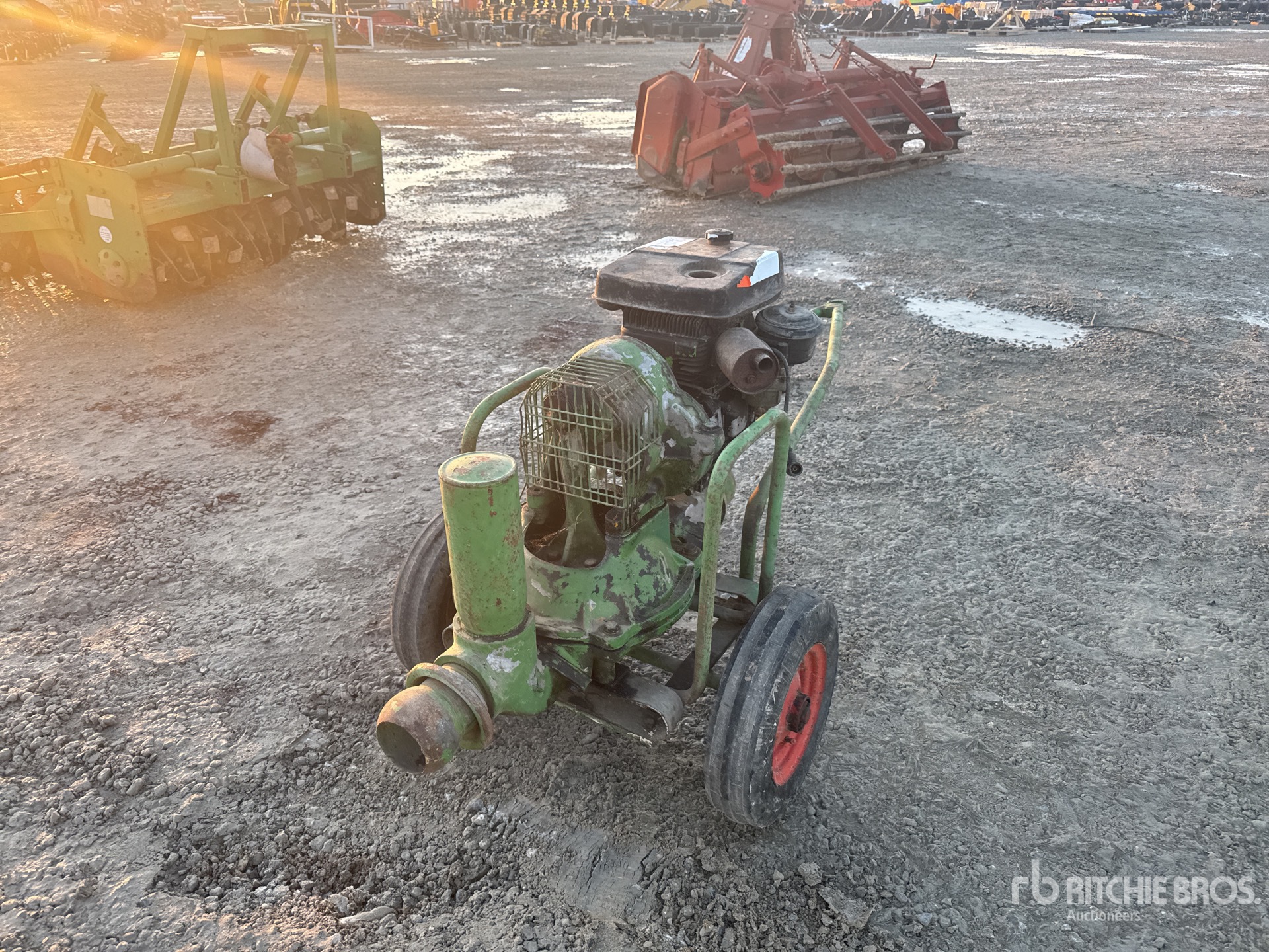 General Appearance with