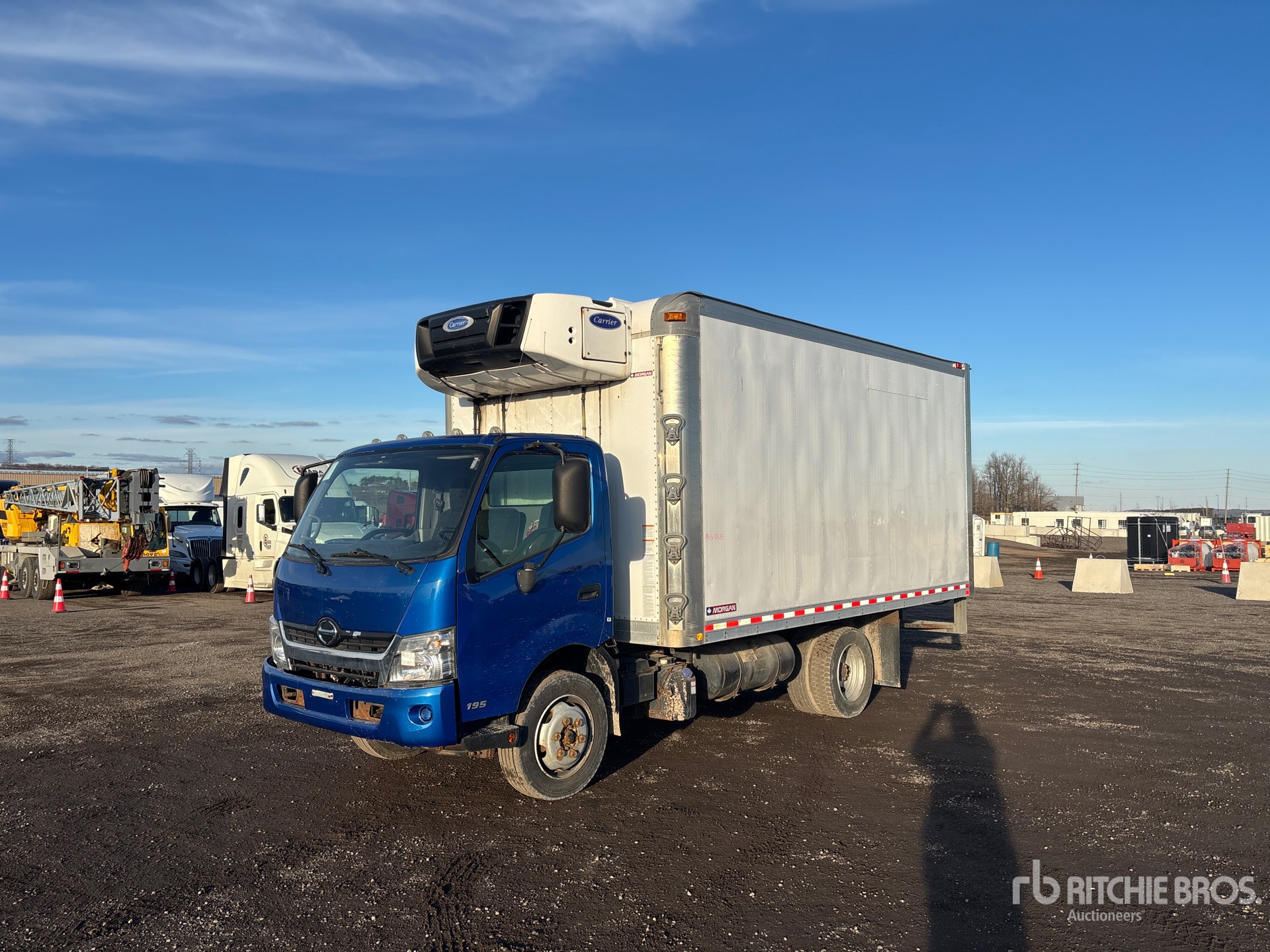 General Appearance with Spin