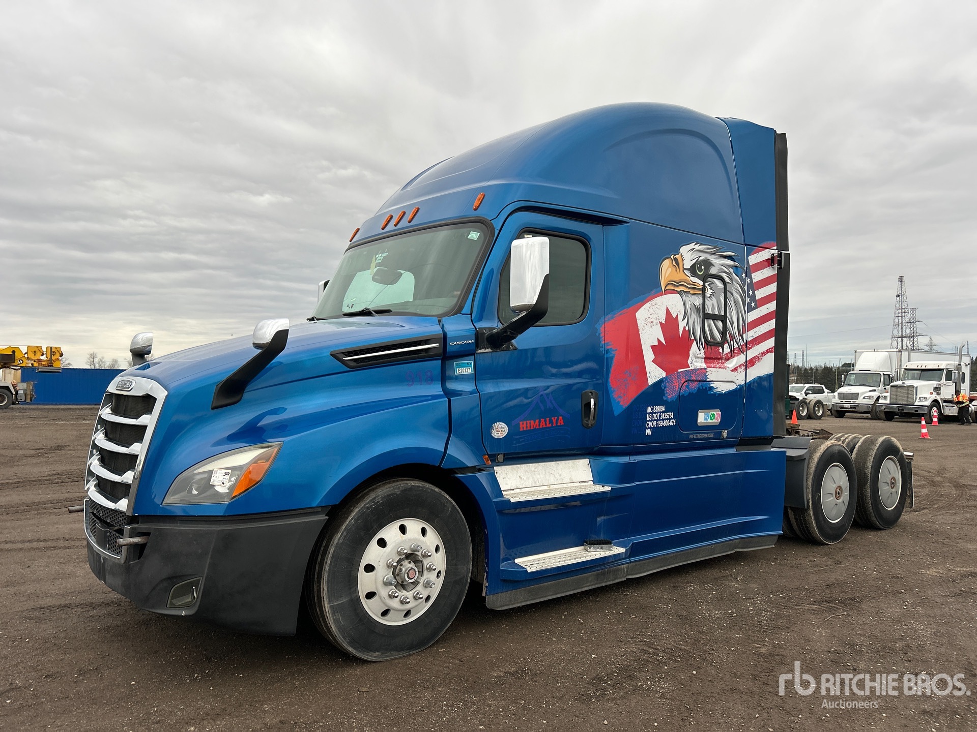 General Appearance with Spin