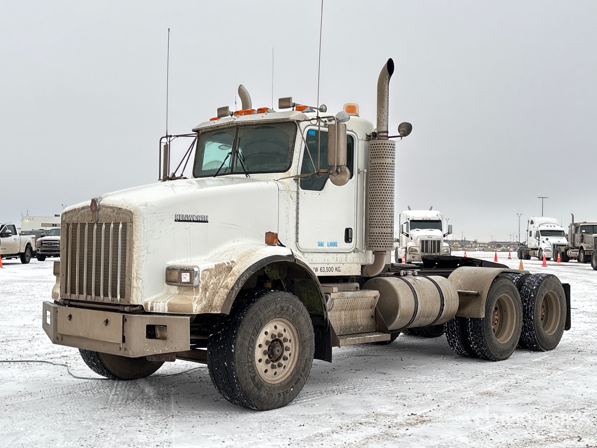 General Appearance with Spin