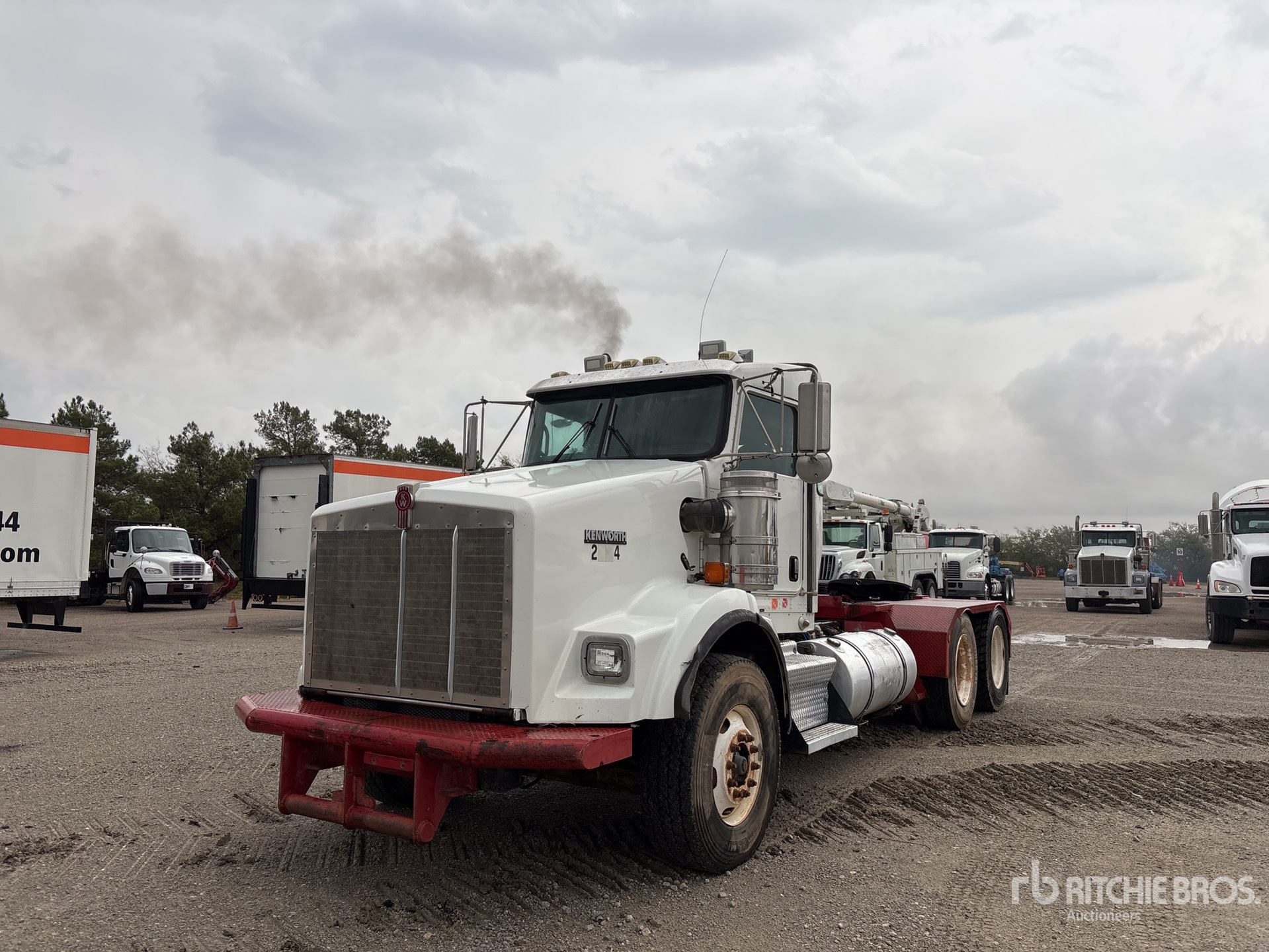 General Appearance with Spin