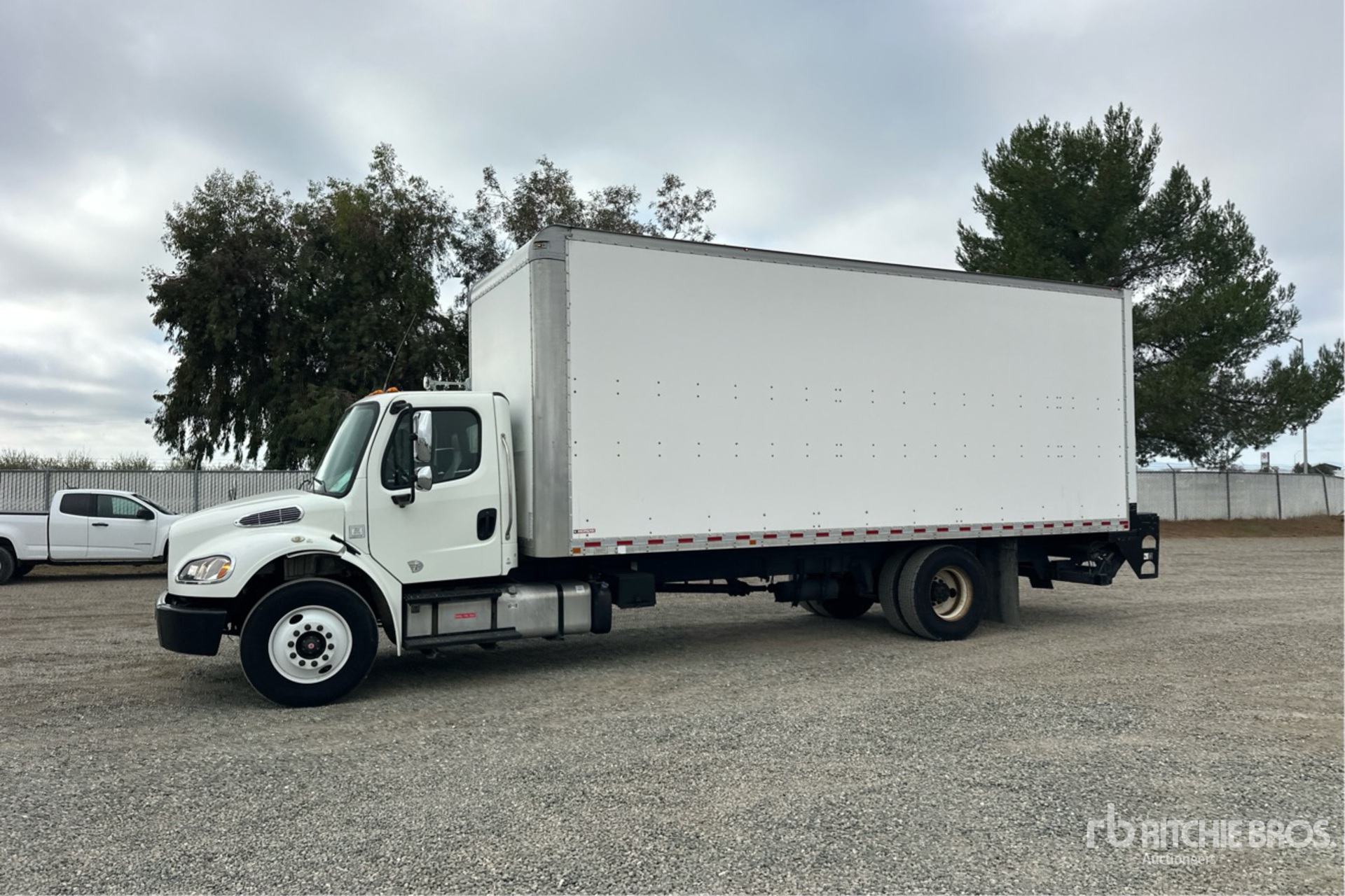 General Appearance with Spin