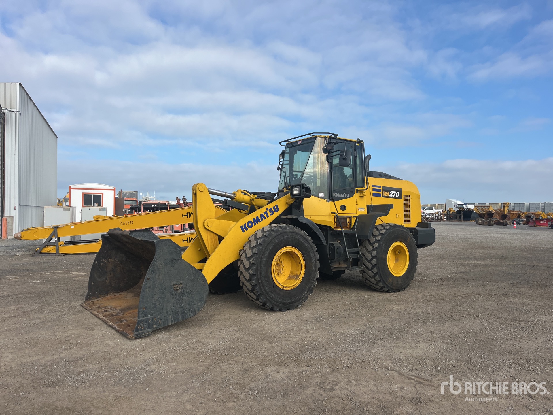 General Appearance with Spin