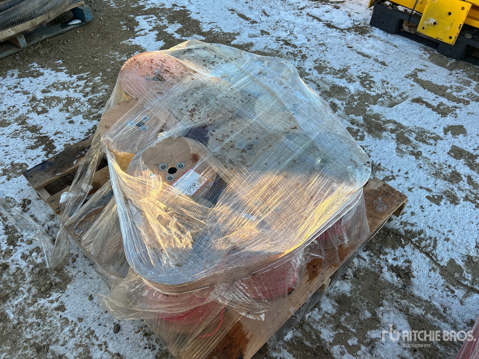 General Appearance with Bild, Ecke hinten links