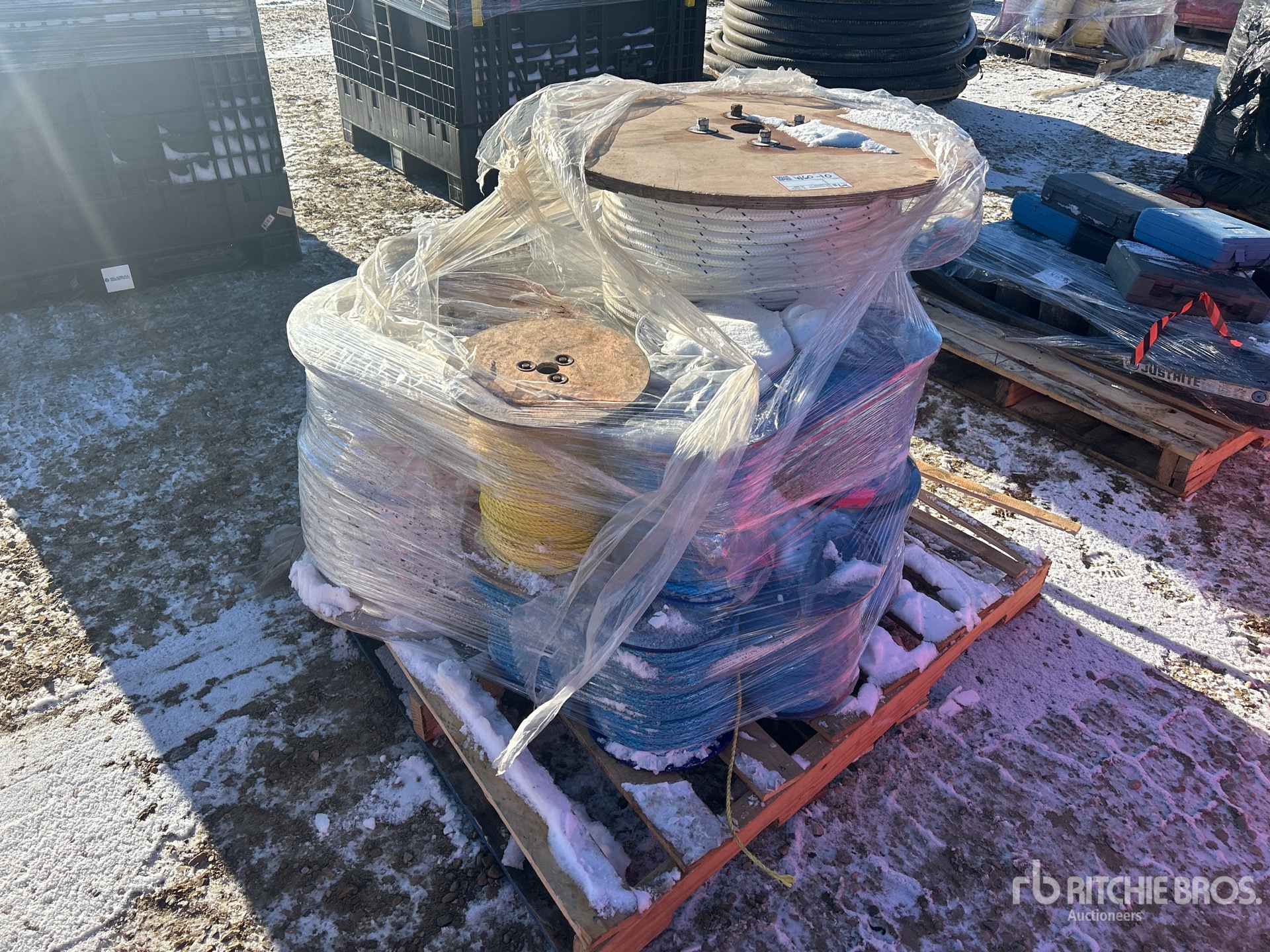 General Appearance with Bild, Ecke vorne links