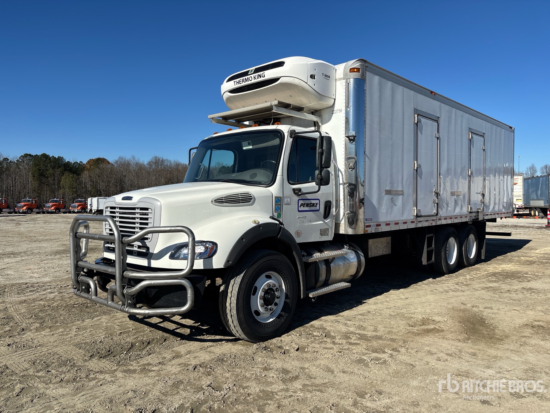 General Appearance with Spin