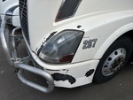 General Appearance with Pintura