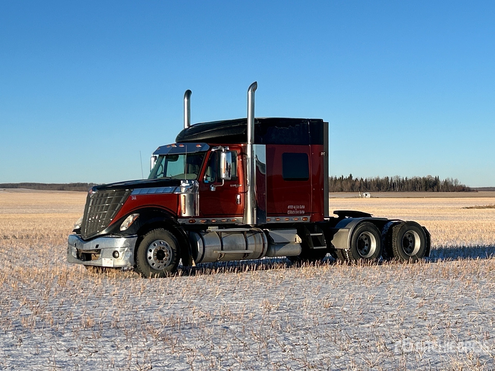 General Appearance with Spin