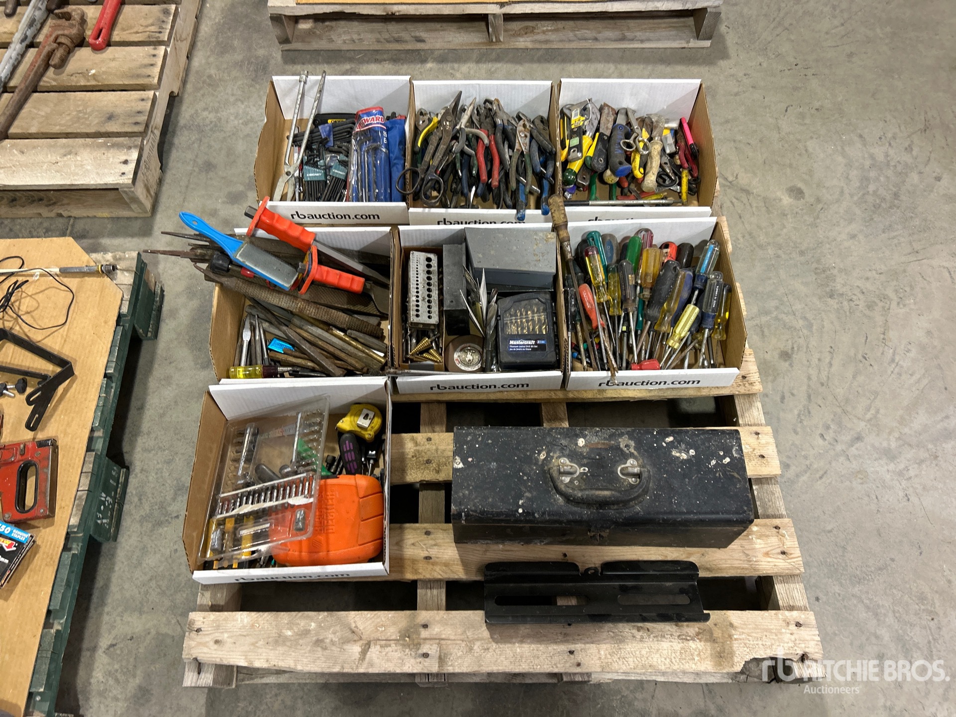 General Appearance with 