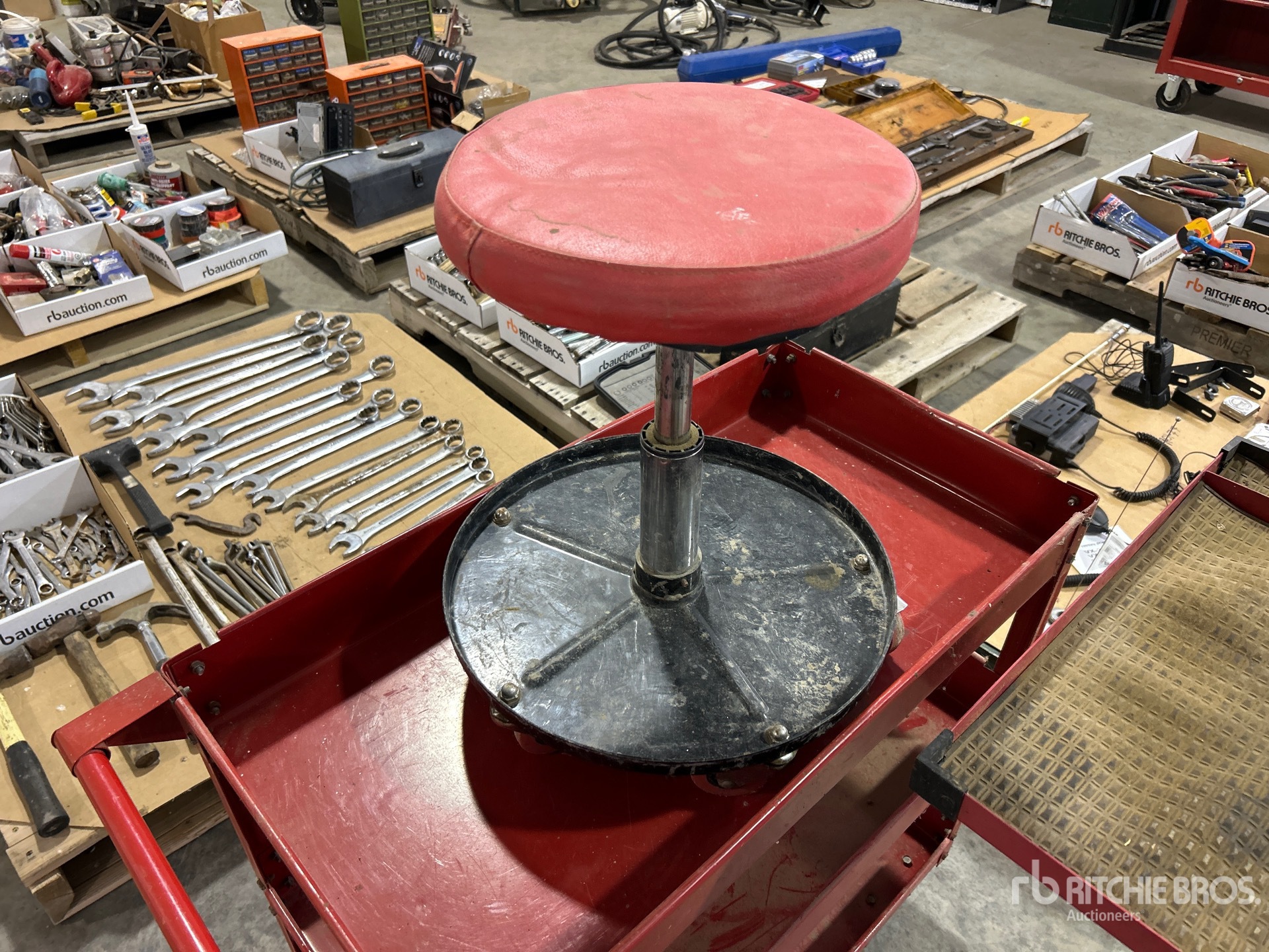 General Appearance with 