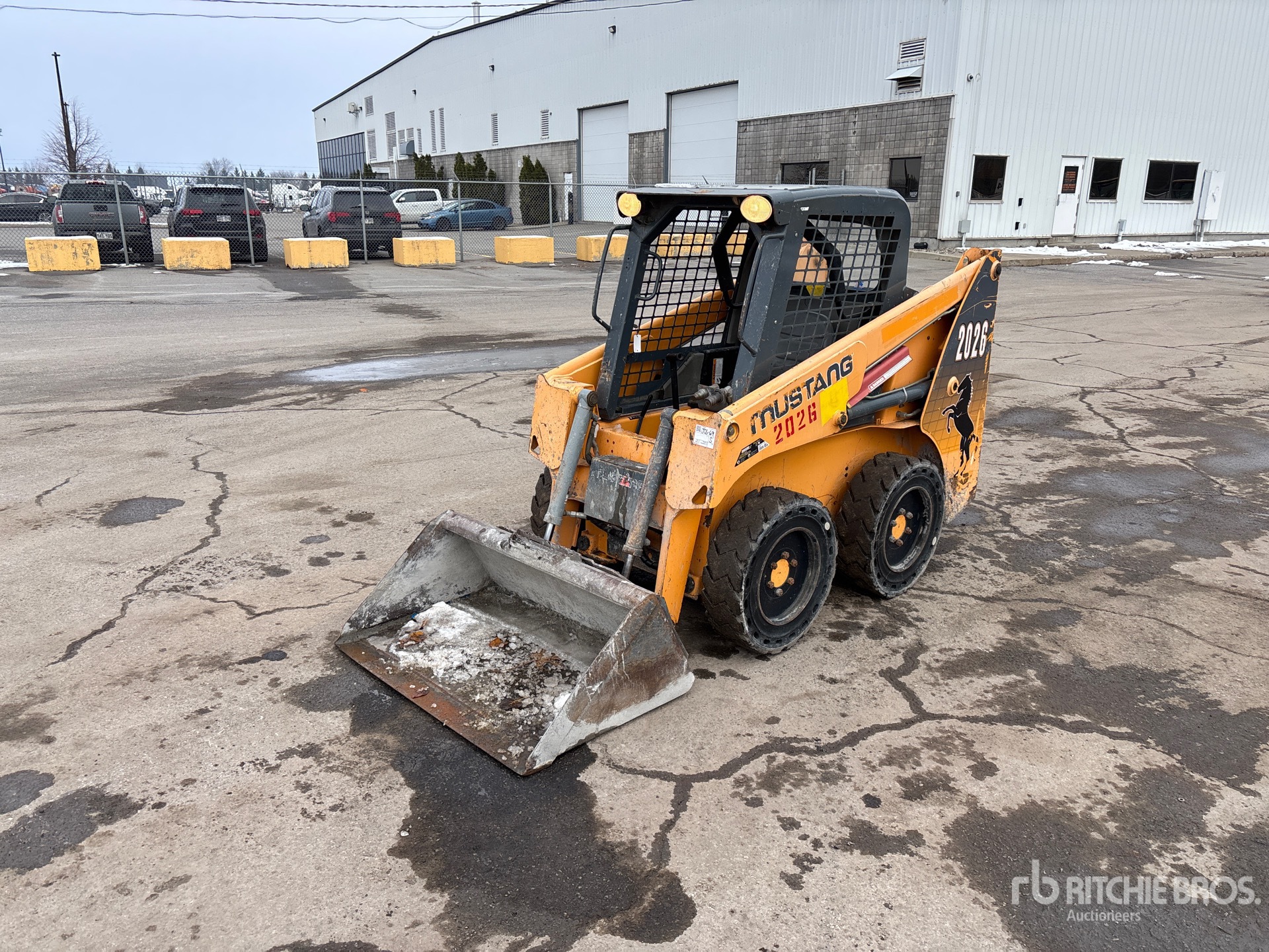 General Appearance with Spin