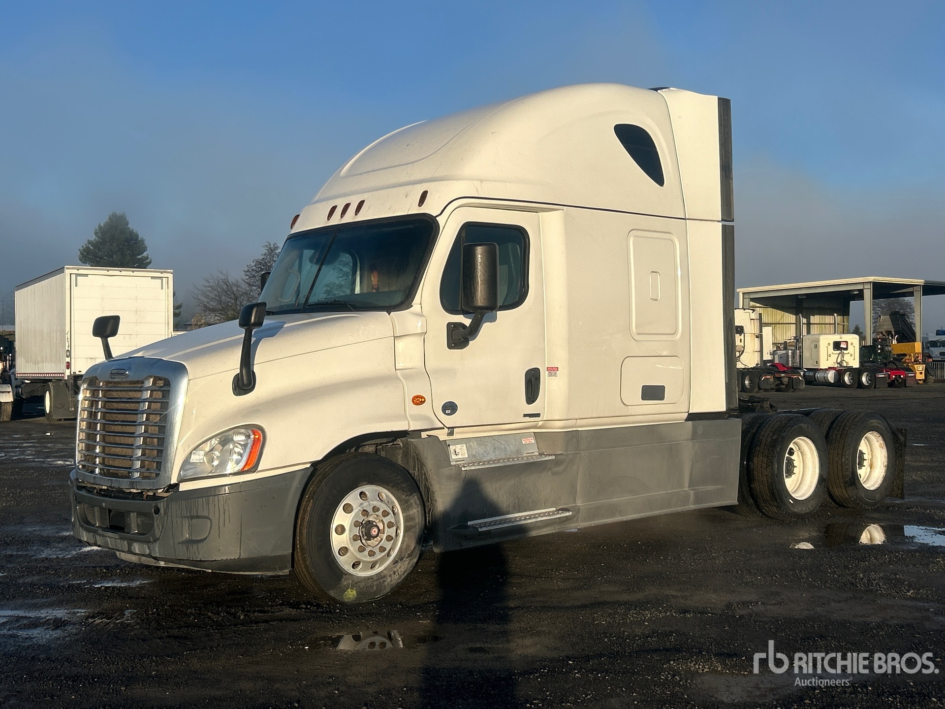 General Appearance with Spin