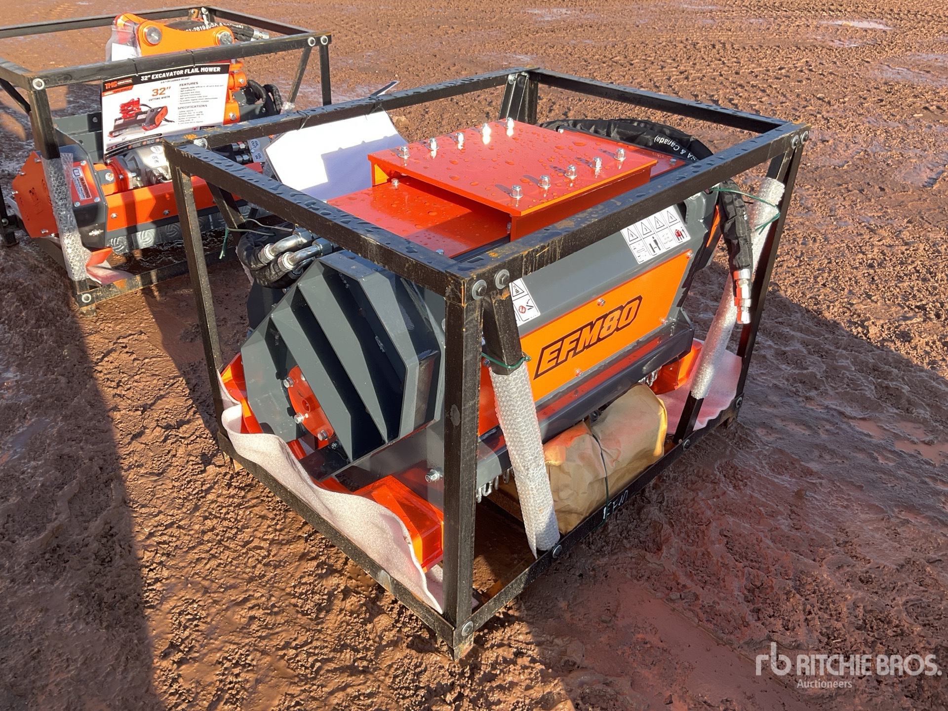 General Appearance with Bild, Ecke hinten links