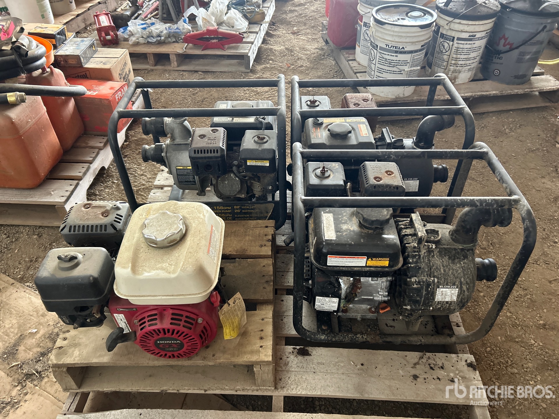 General Appearance with