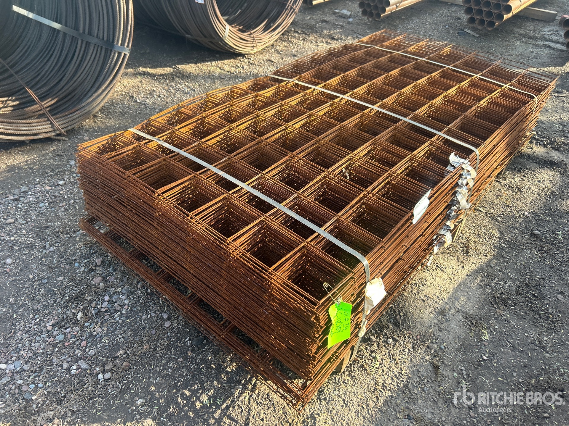 General Appearance with Zdjęcie, lewy dolny róg