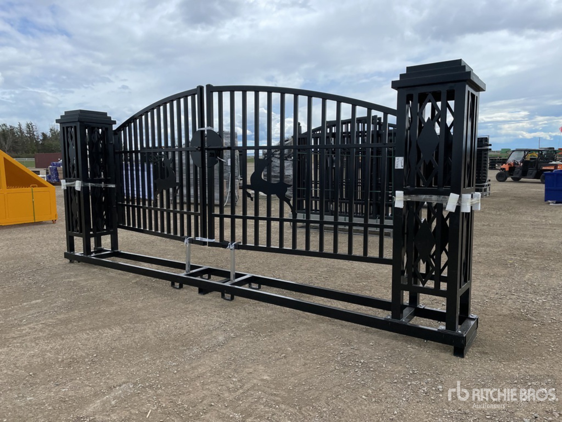 General Appearance with 