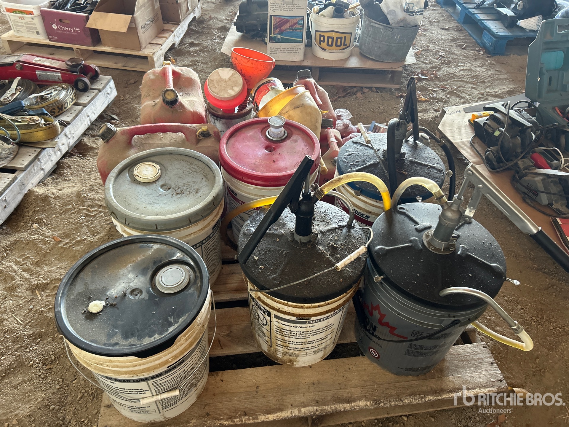 General Appearance with 