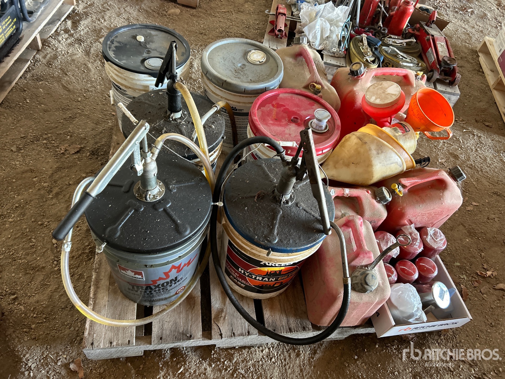 General Appearance with 